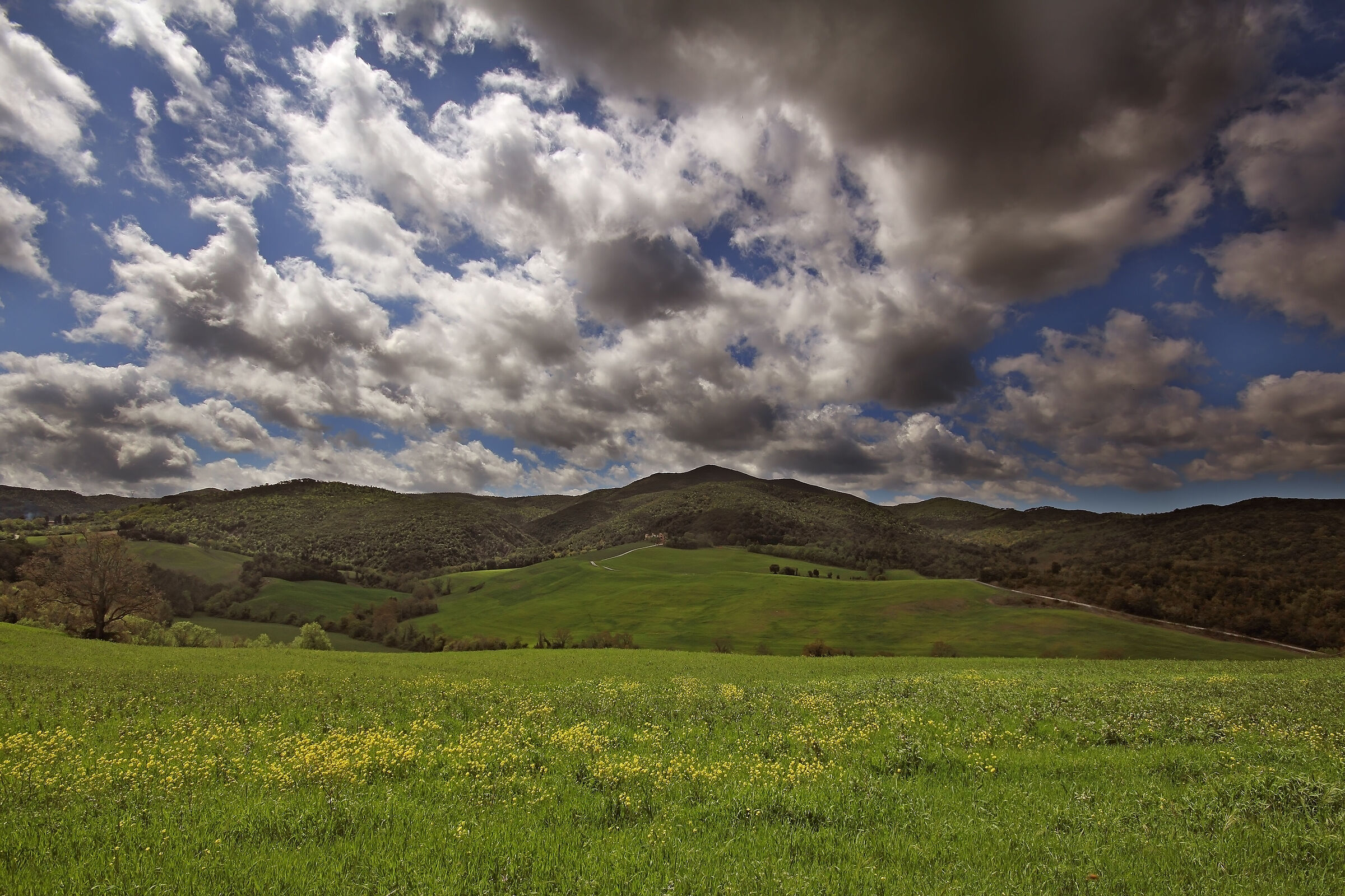 The long road to metals