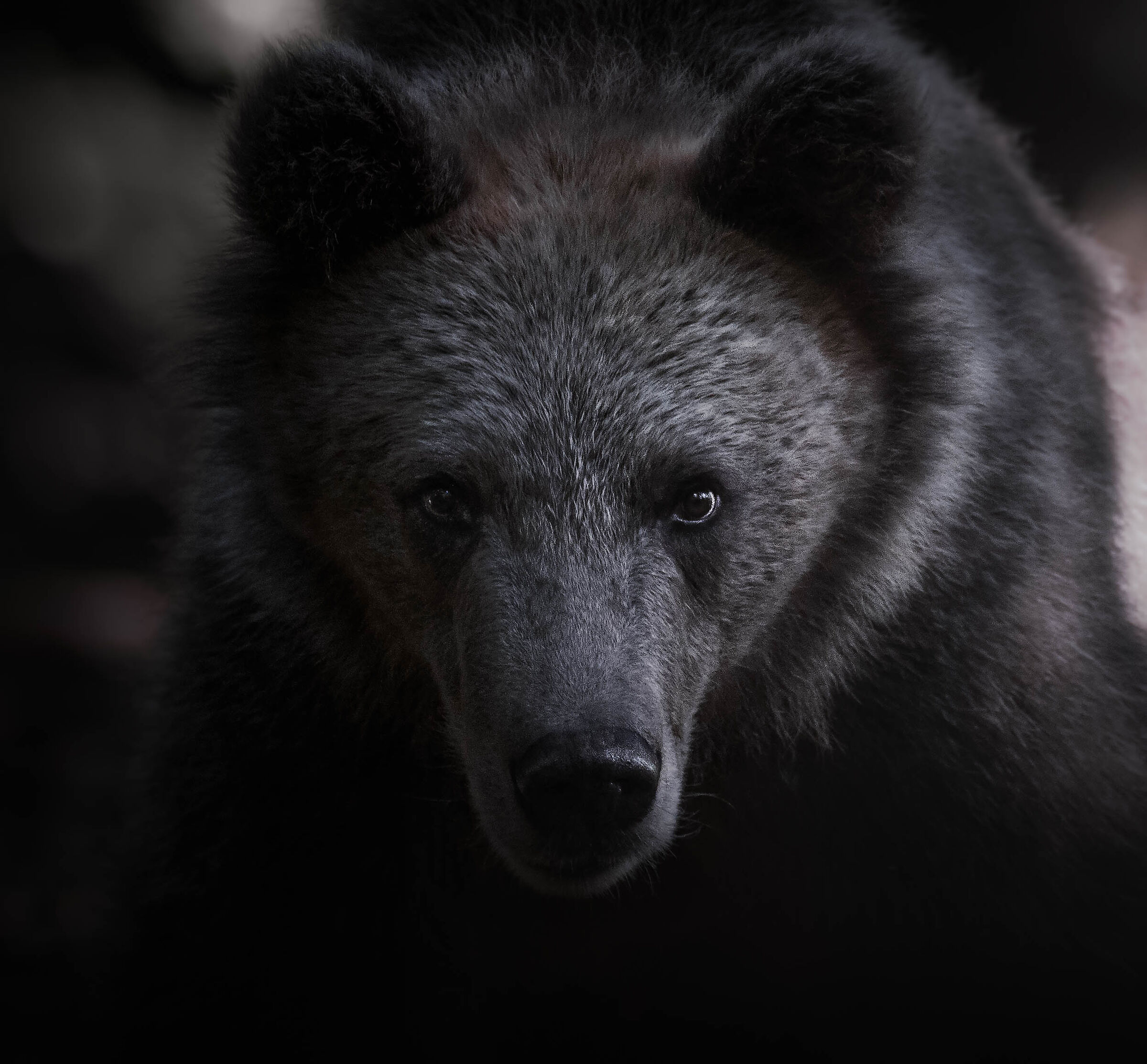 incontro ravvicinato