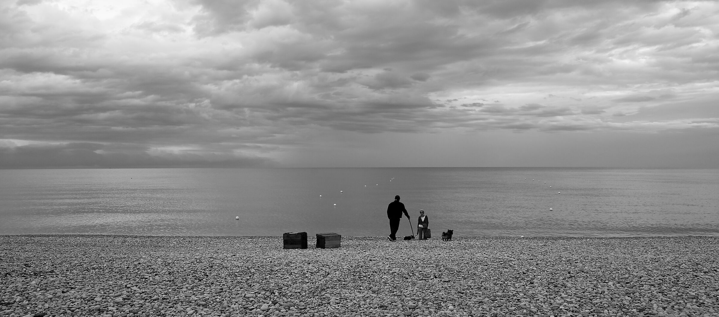 mare