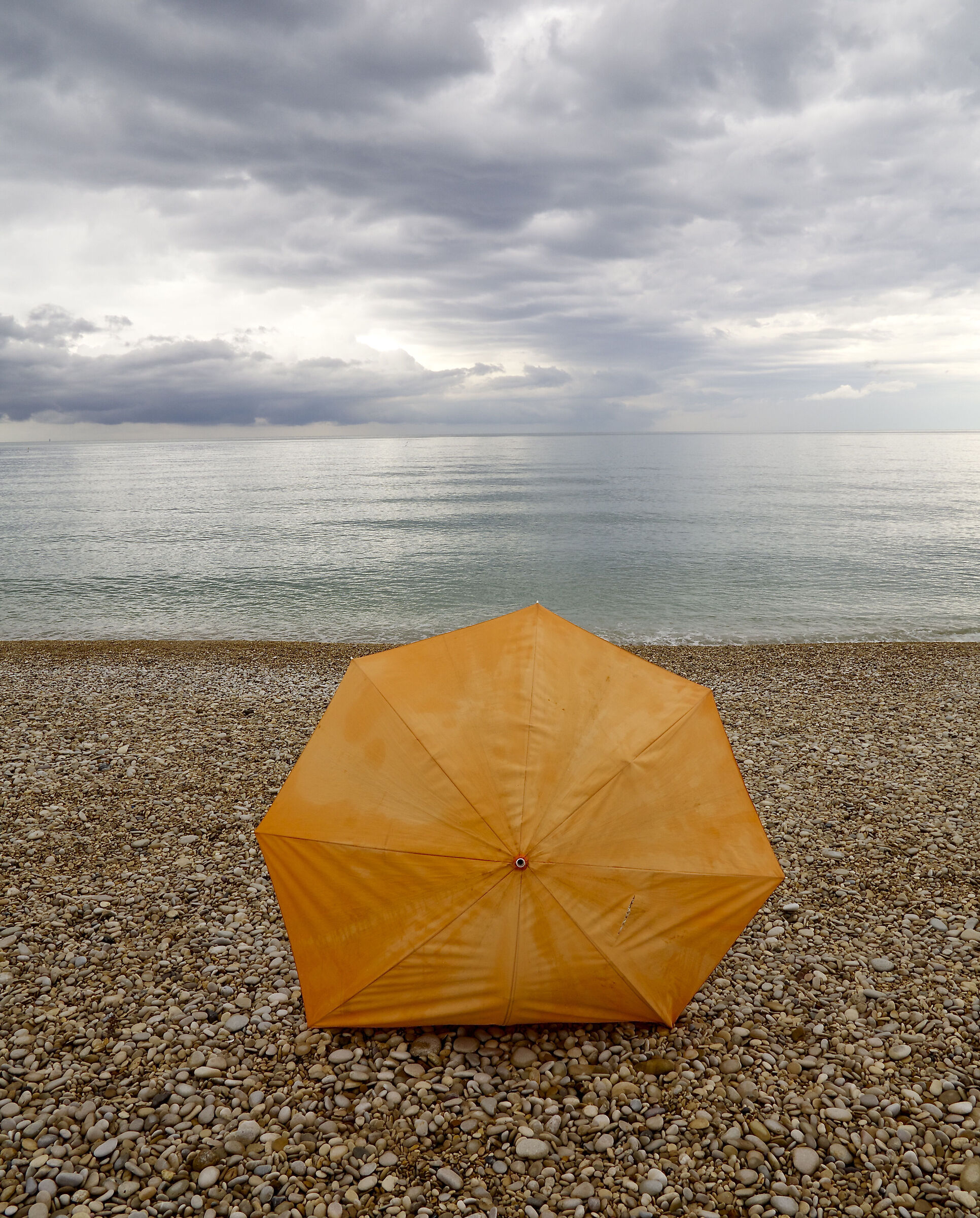 mare