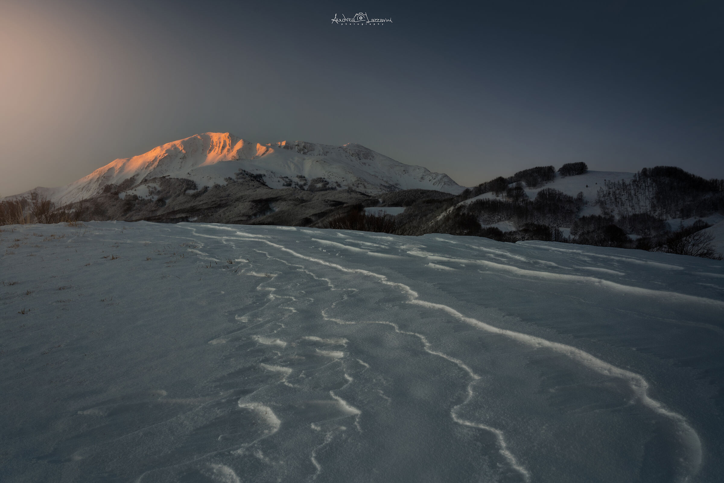 Dawn