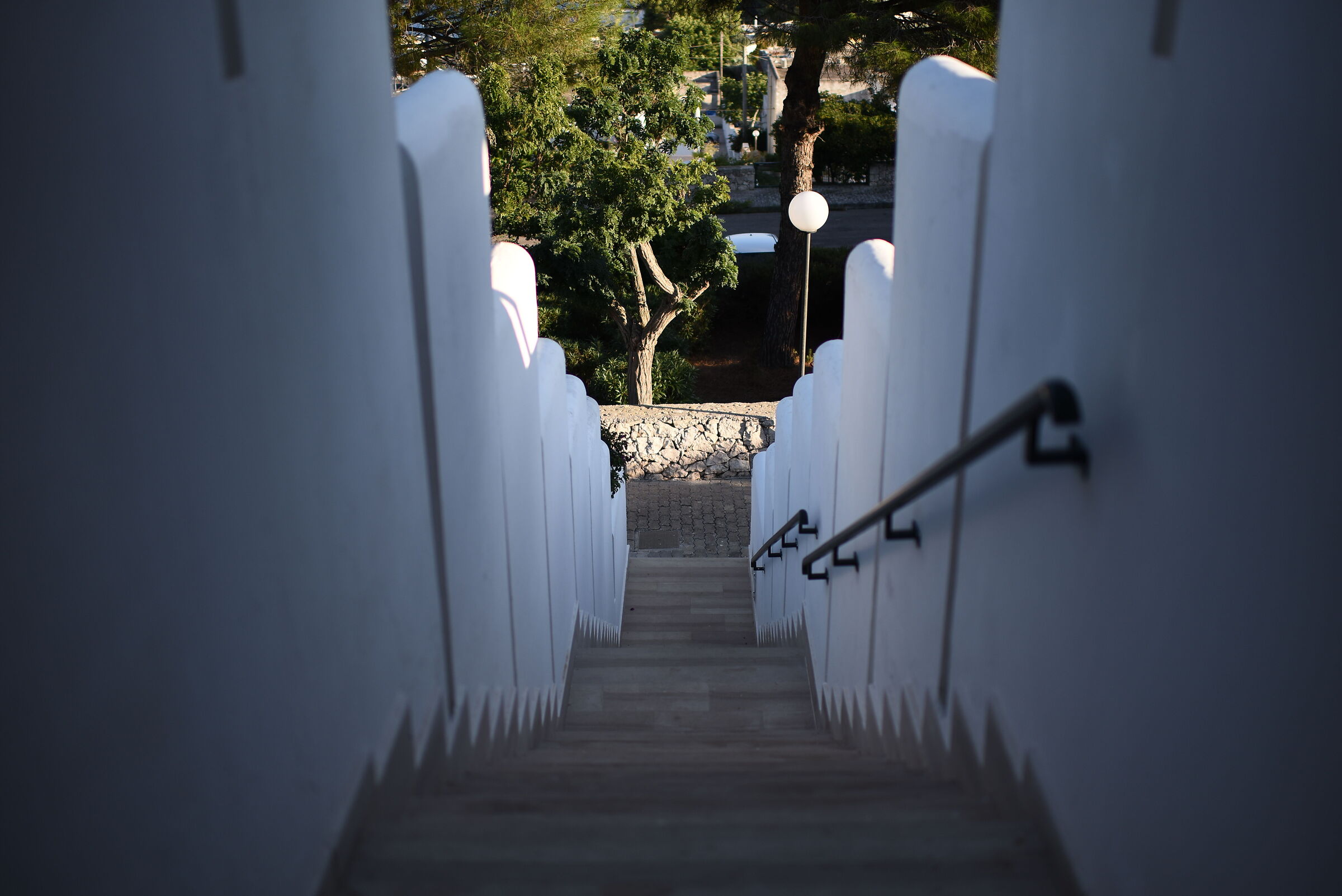 F. 1.4, 1/ 4.000, ISO 125- Otus Zeiss 28, 1.4