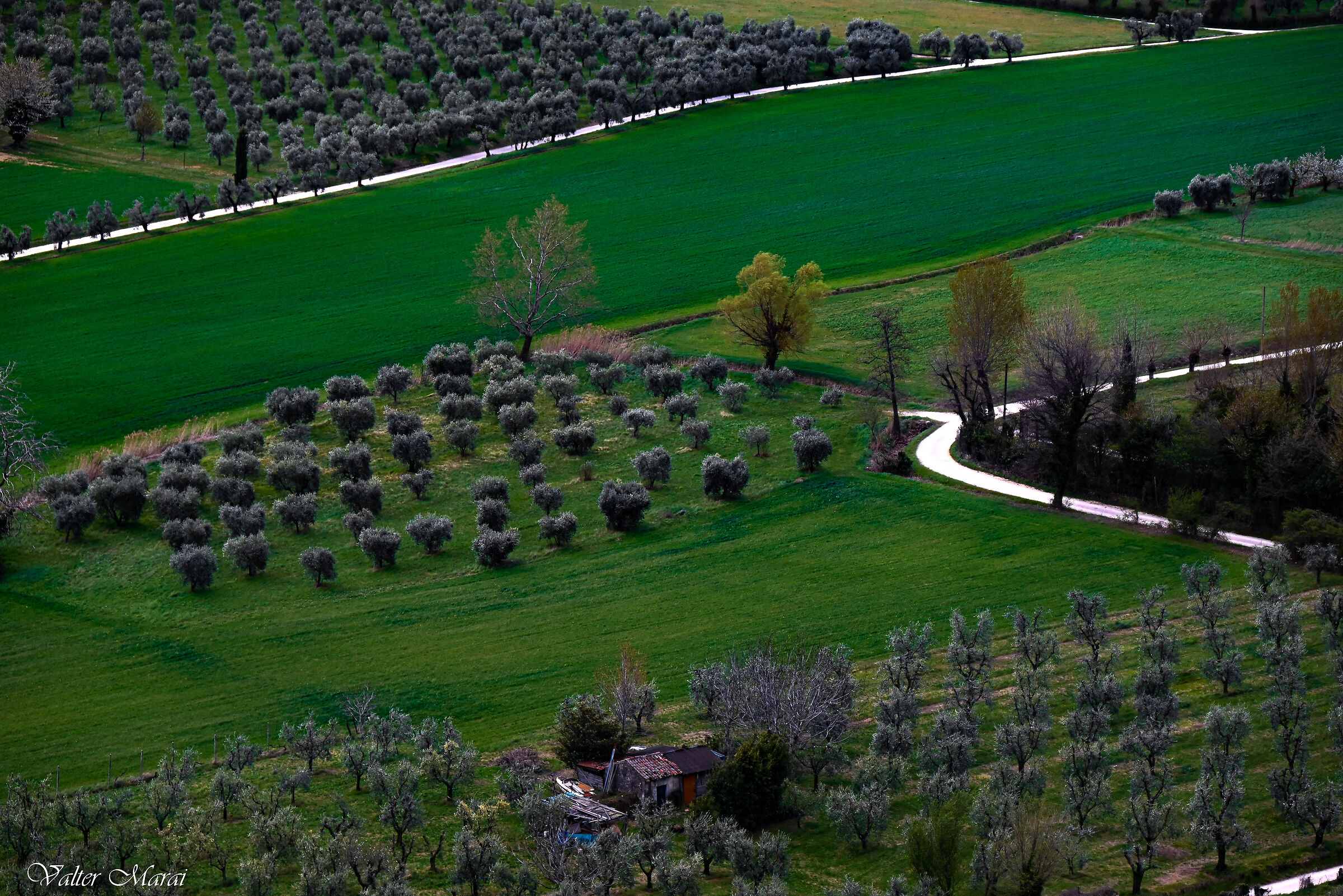 From the Rocca di Manerba