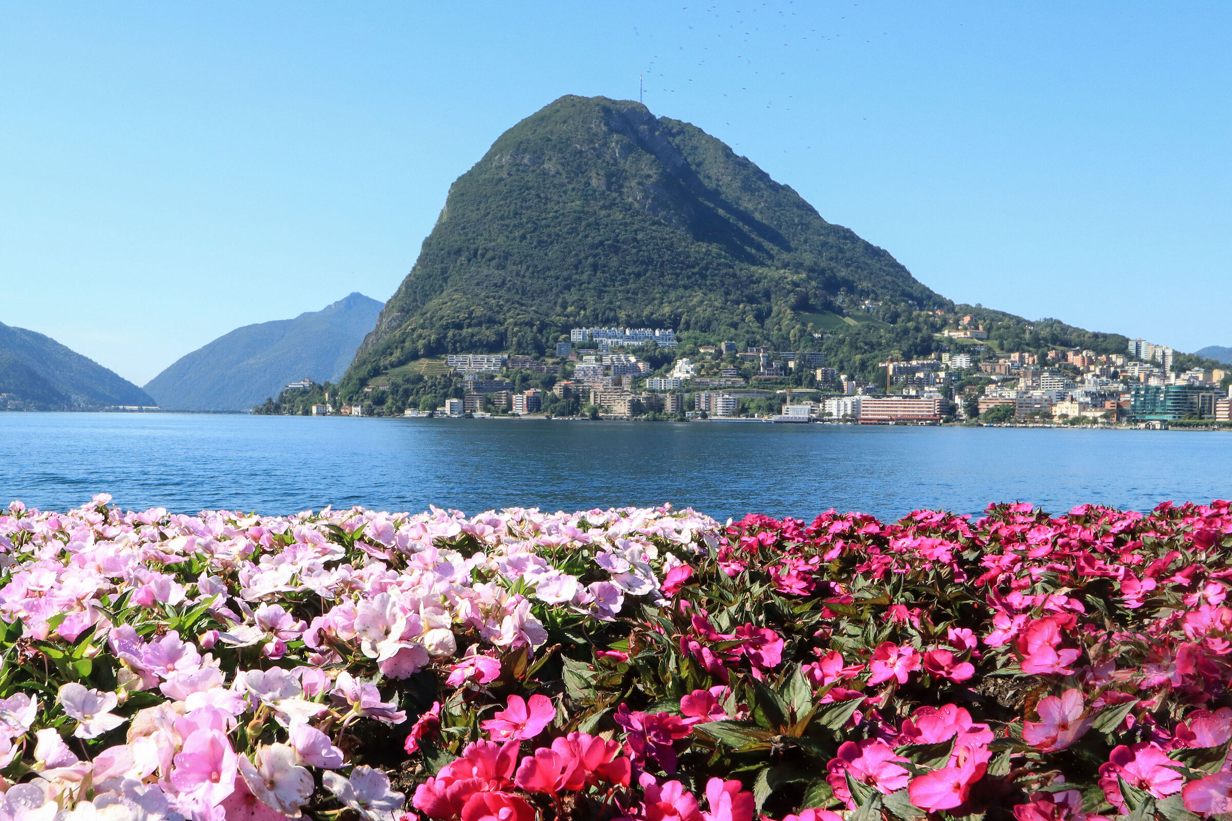 Ciani Park in bloom Lugano