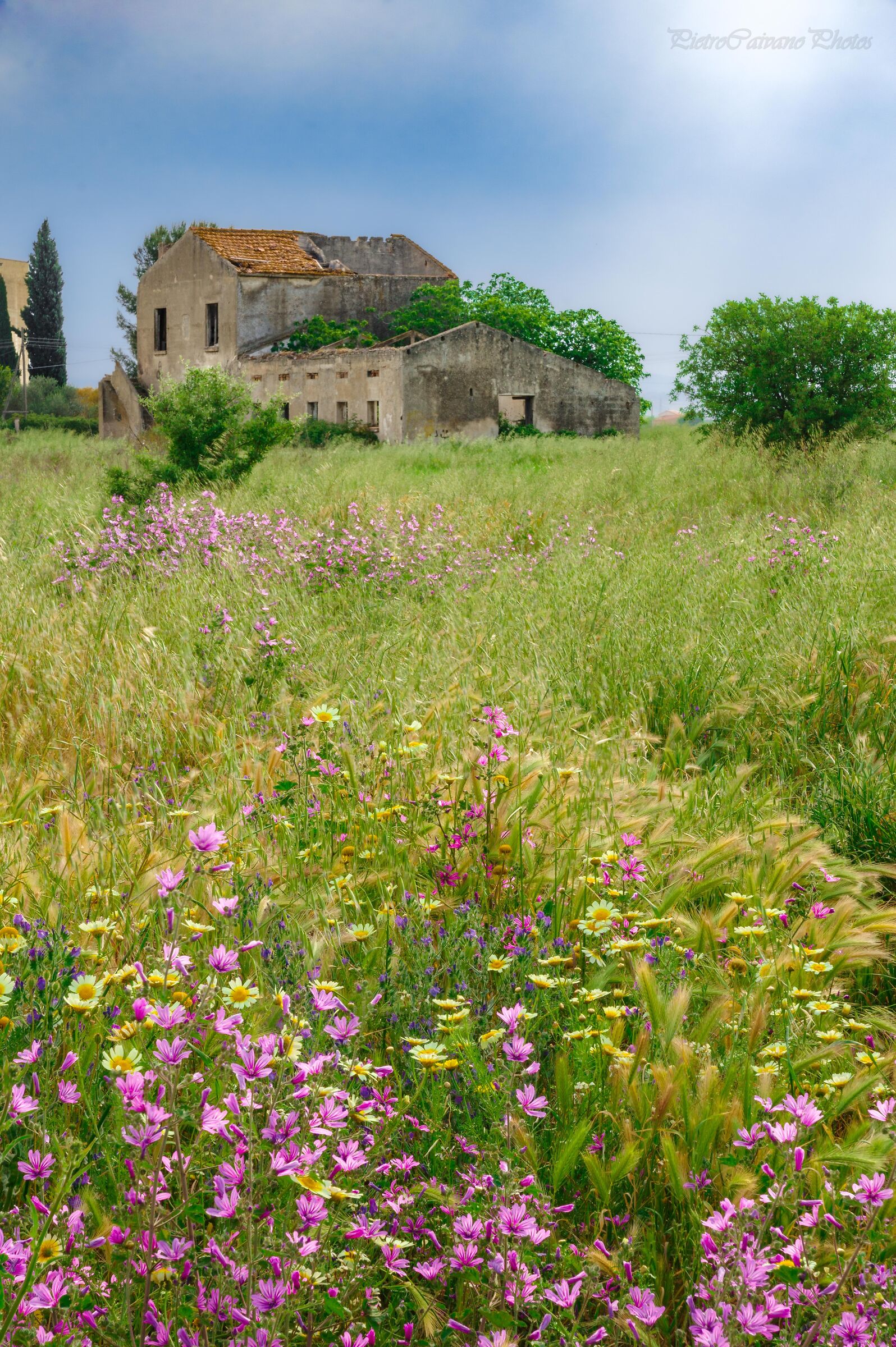 Fascinoso Rudere primaverile