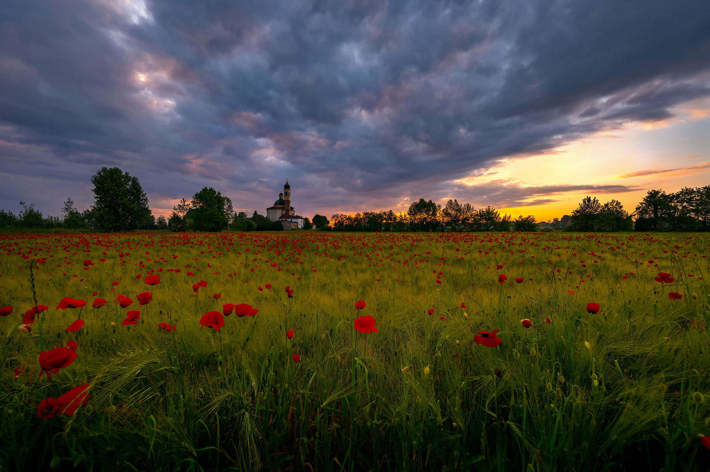 Prima che spunti il sole