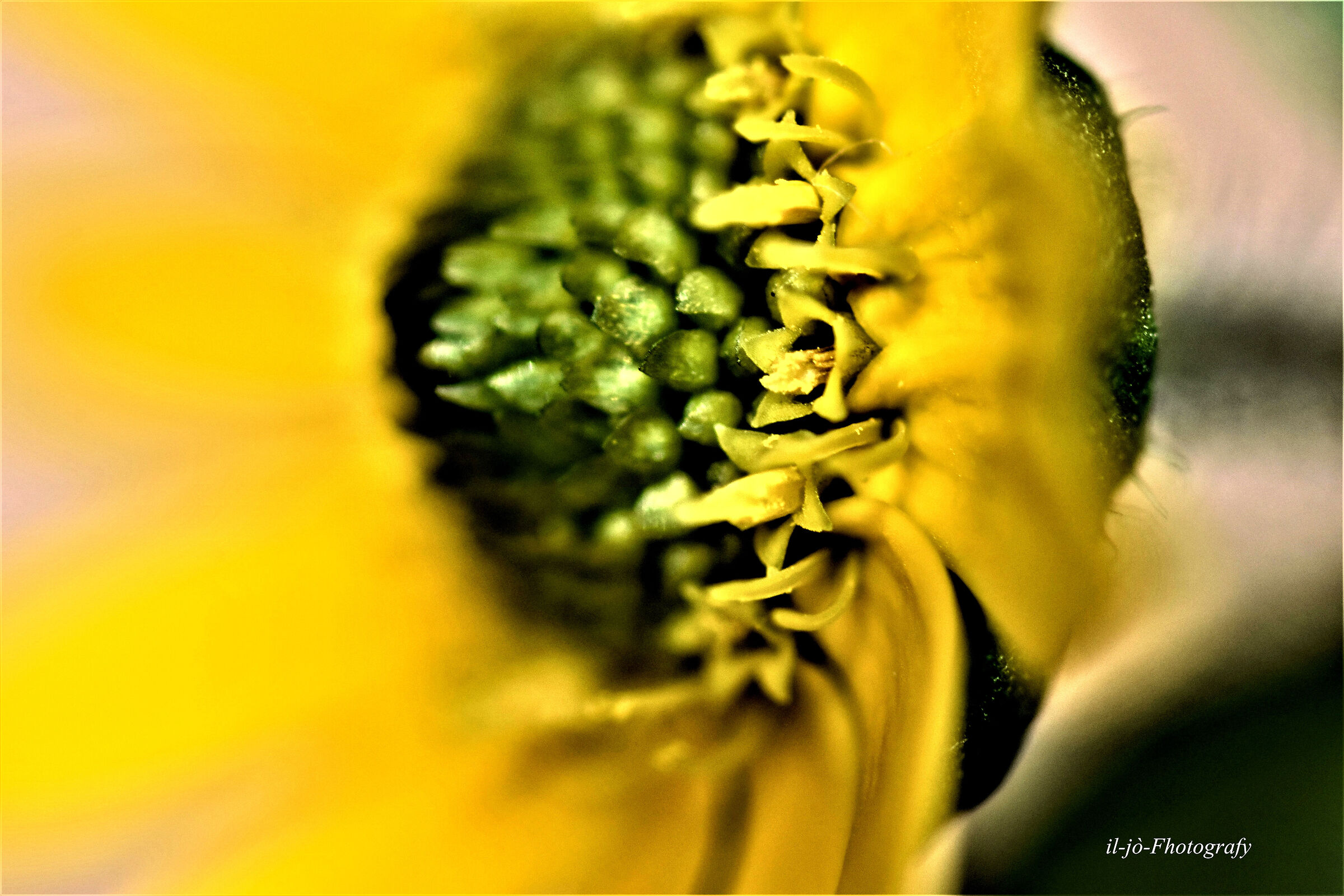Untitled Photo