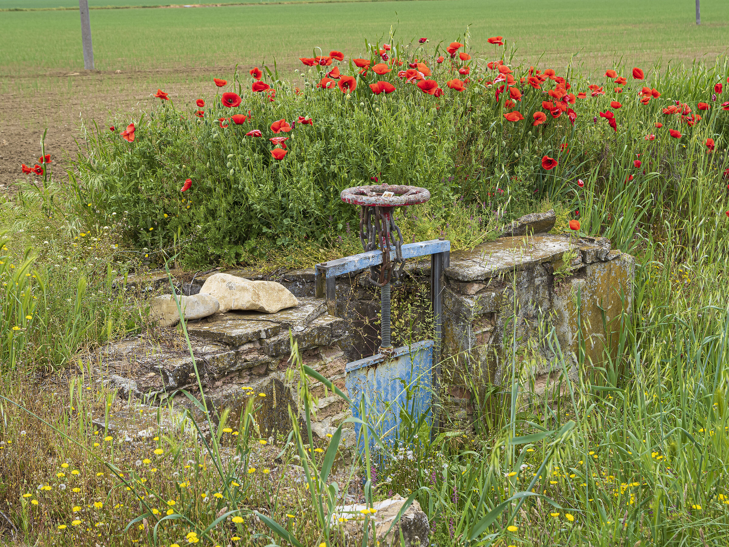 Un bene prezioso, L'acqua