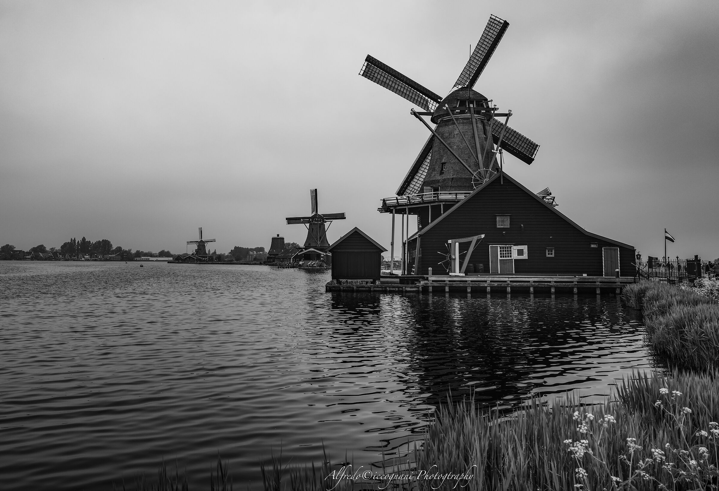 I mulini di  Zaanse Schans