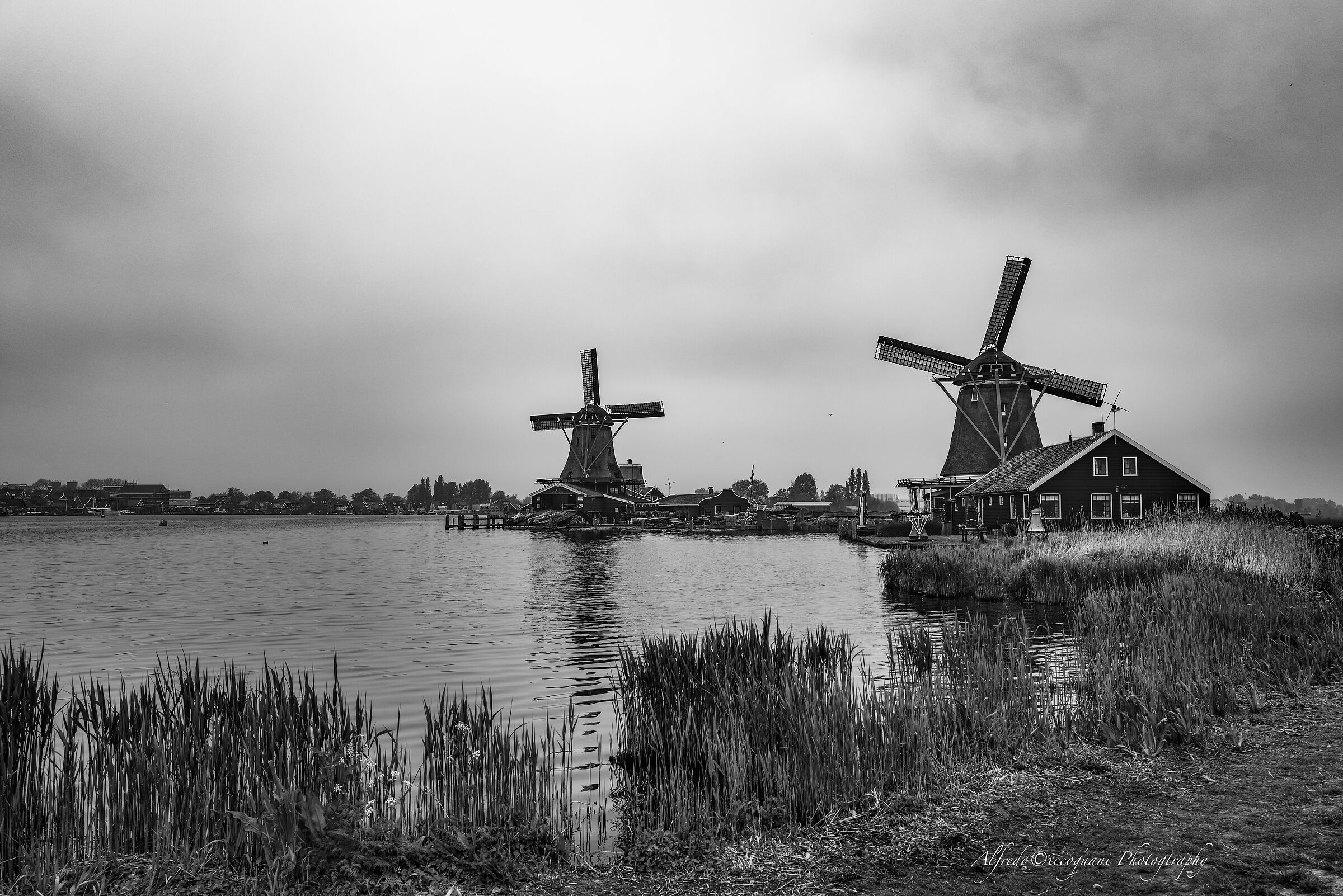 I mulini di  Zaanse Schans