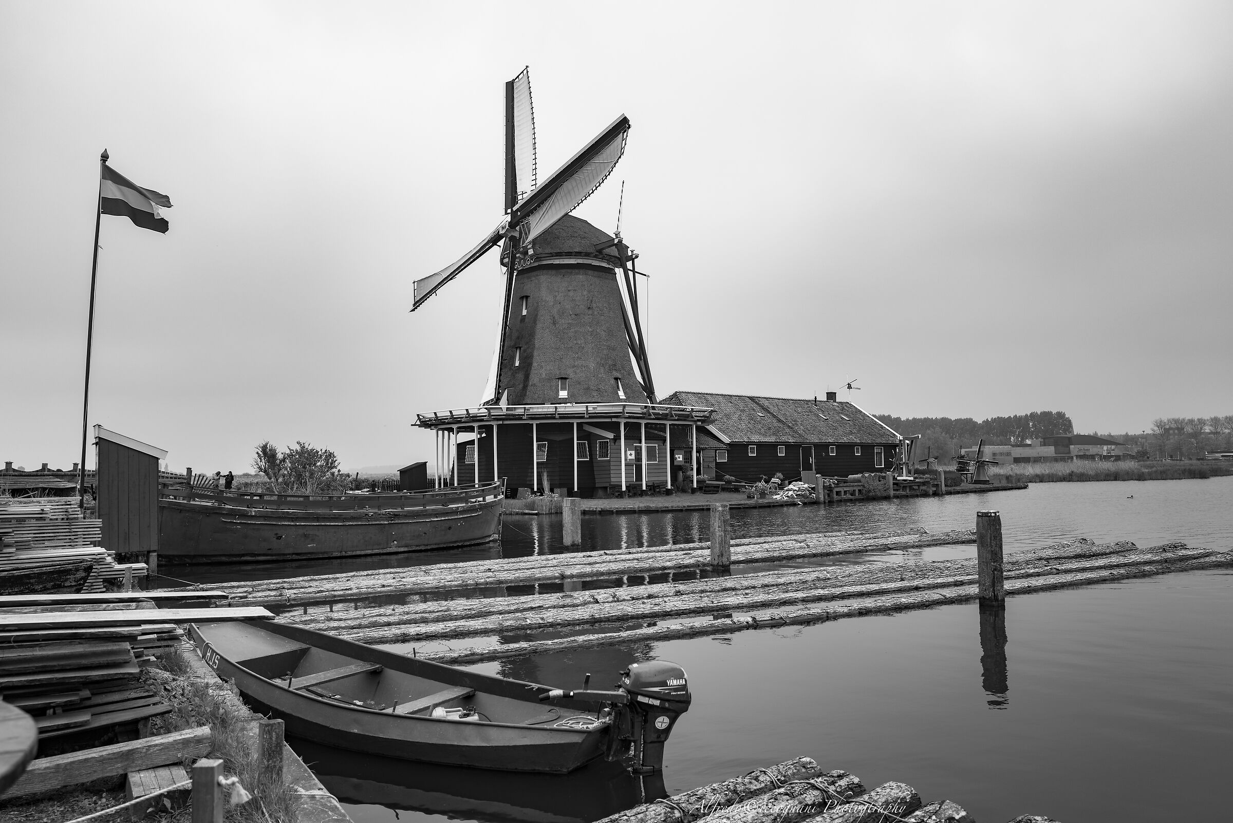I mulini di  Zaanse Schans