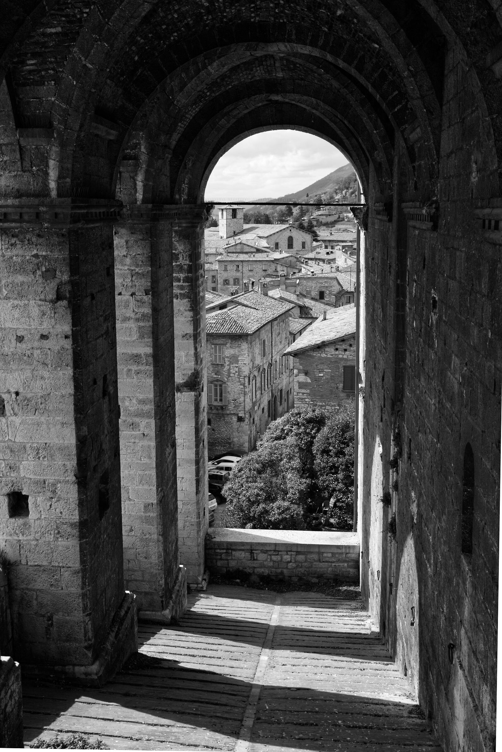 Gubbio in binaco and black