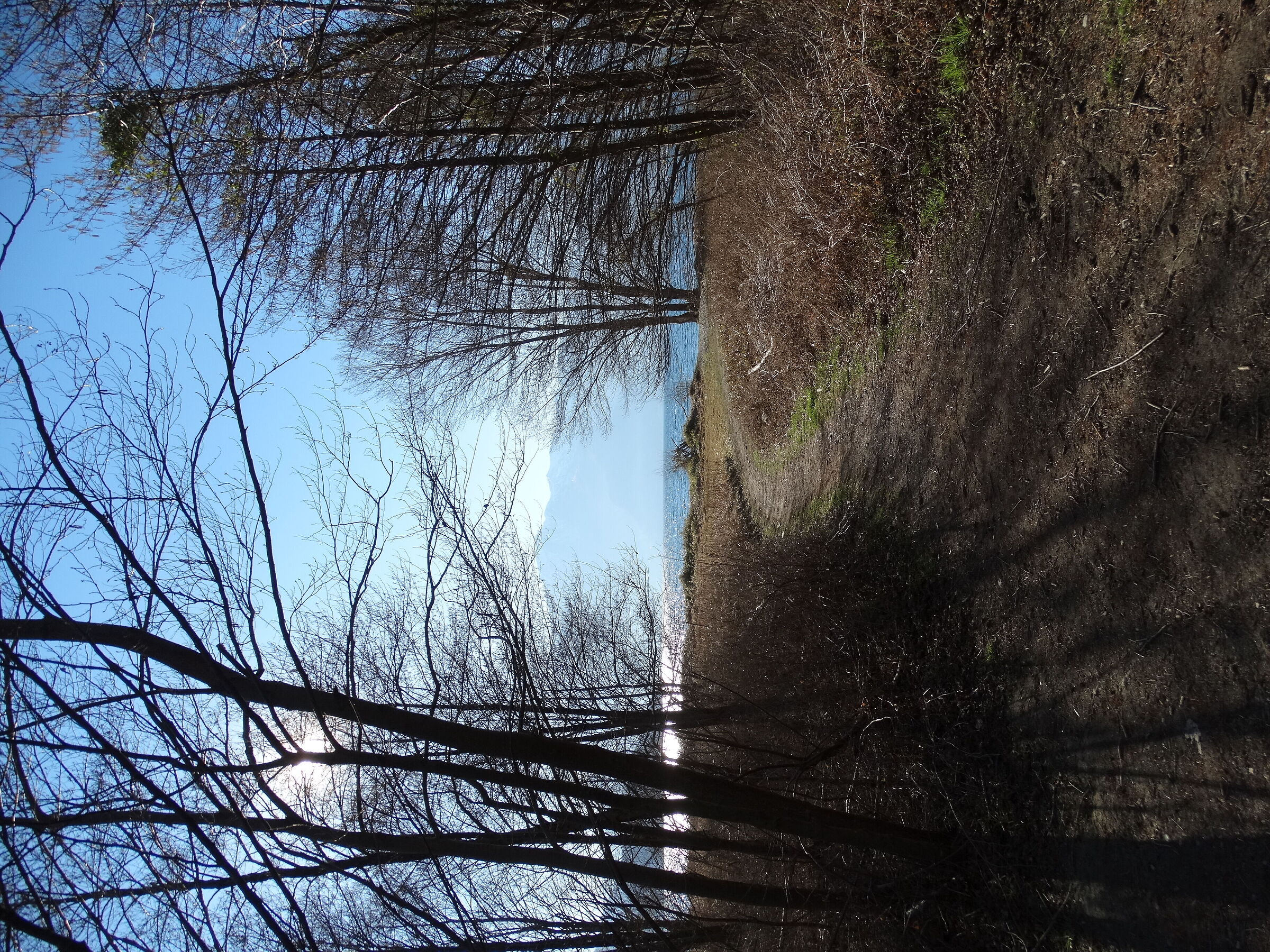 Last corner