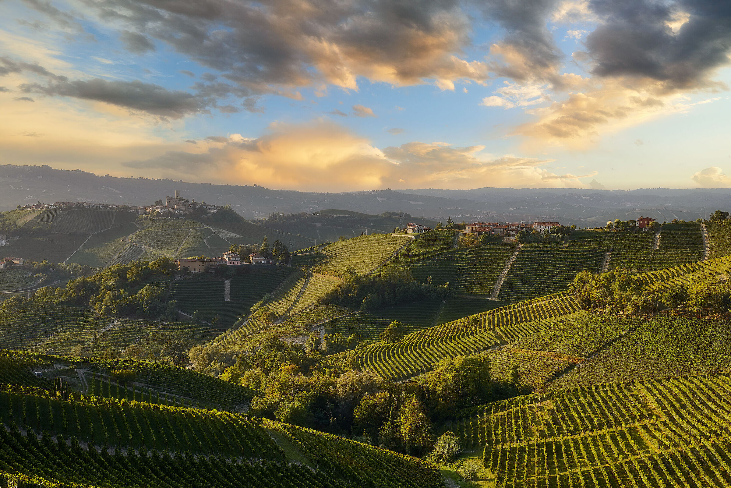 Hills in the Langhe