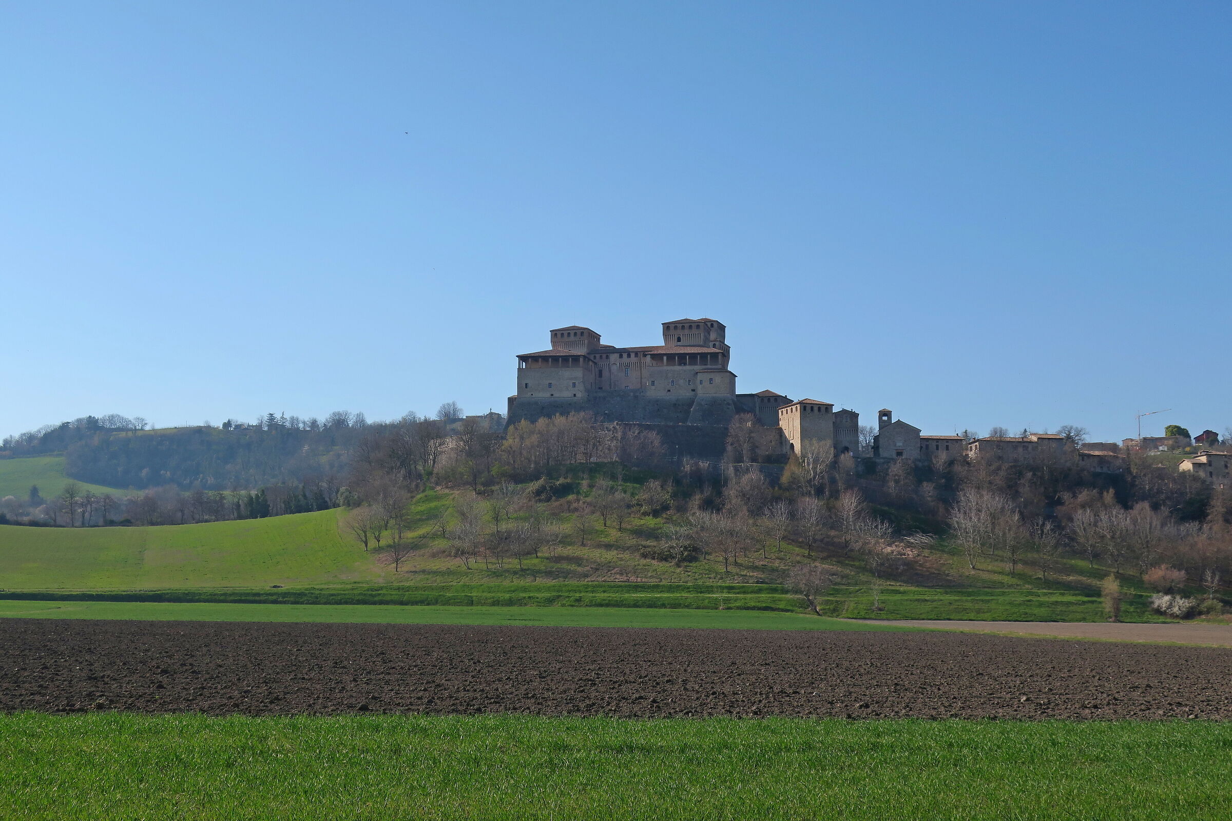 Colline parmensi Torrechiara