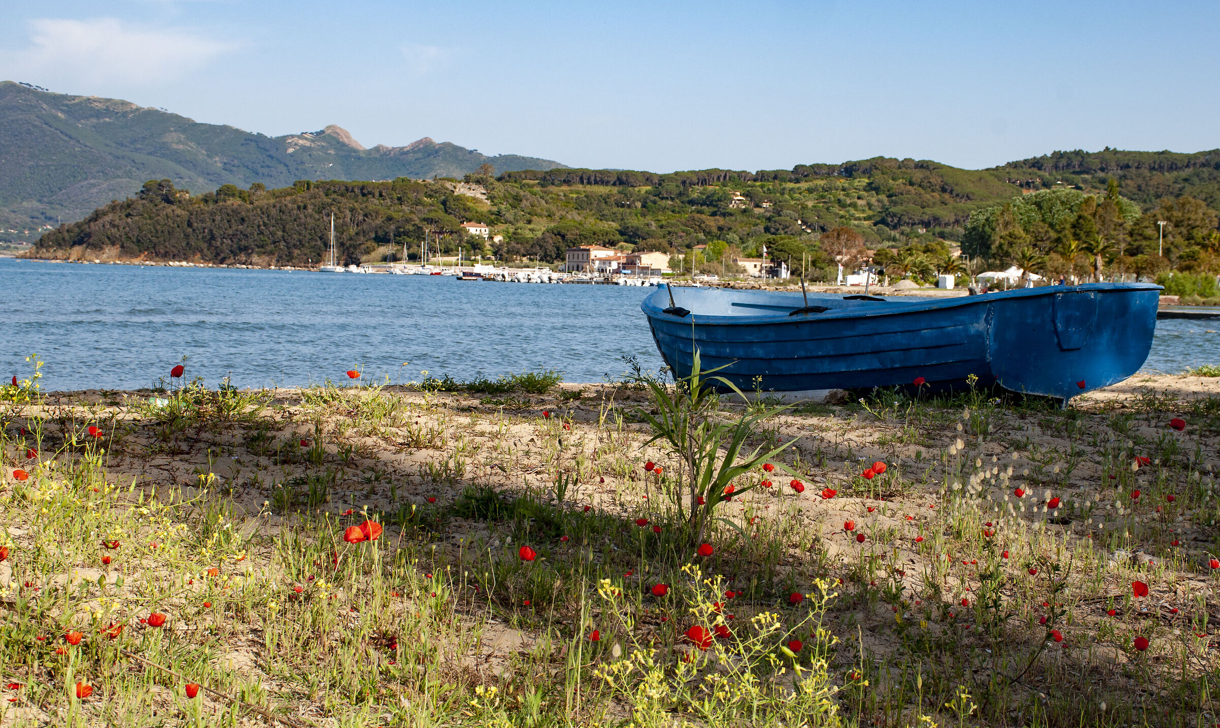 throw me into the water - Elba island