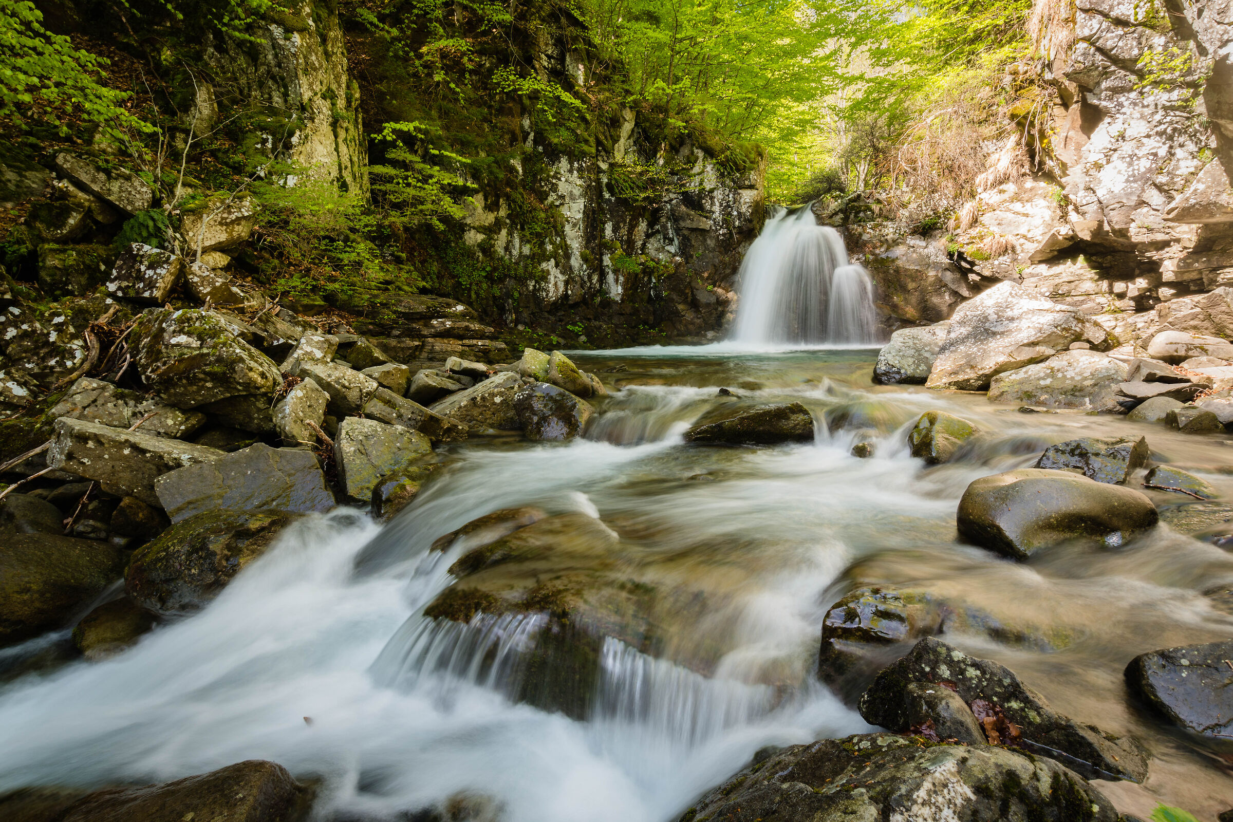 Il ritorno dell'acqua