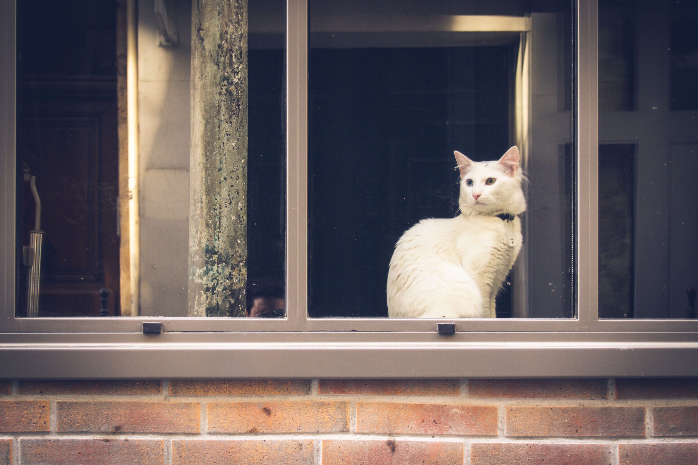 Paris - everybody street #001