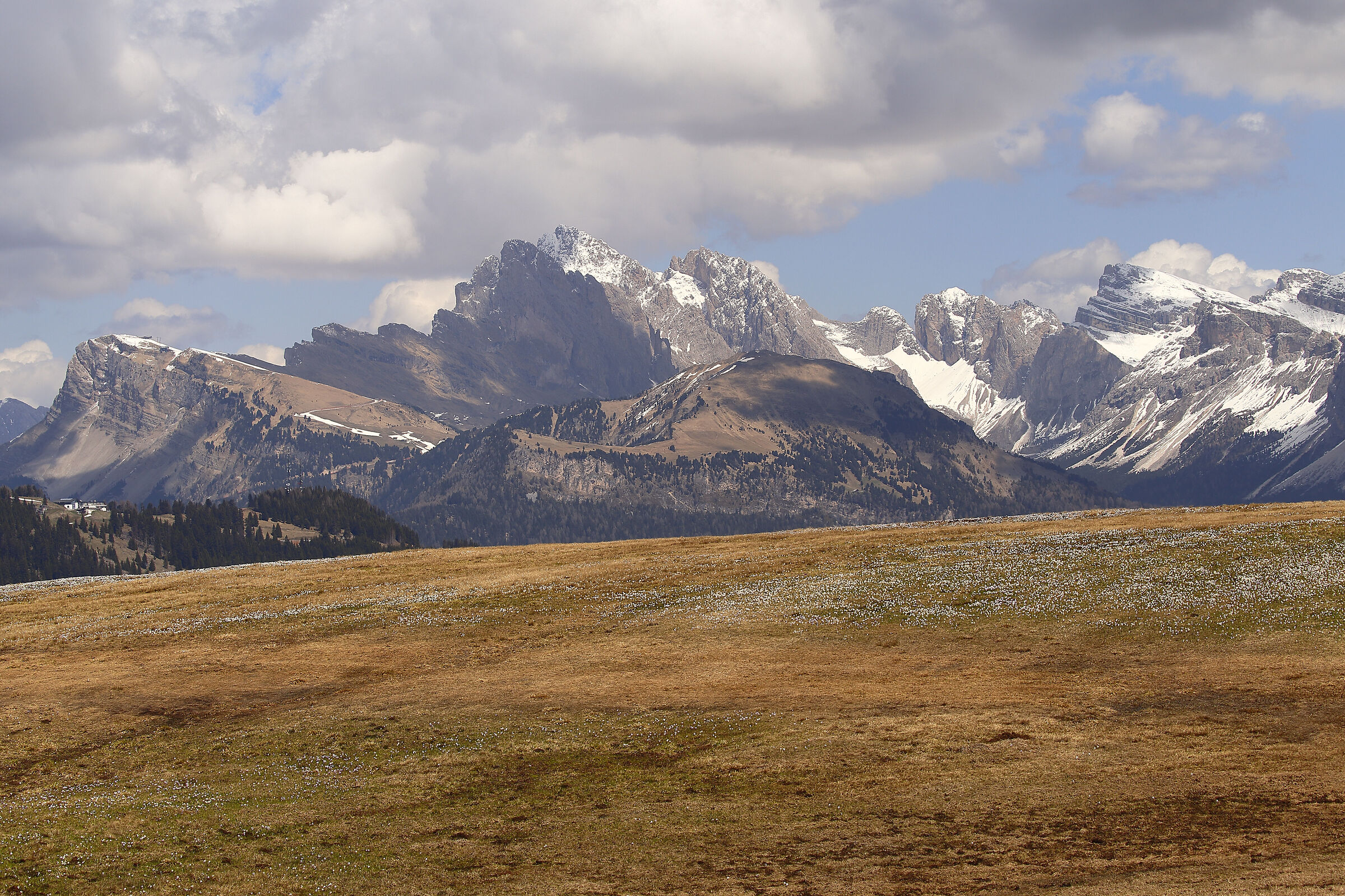 Slowly spring arrives also on the 2000
