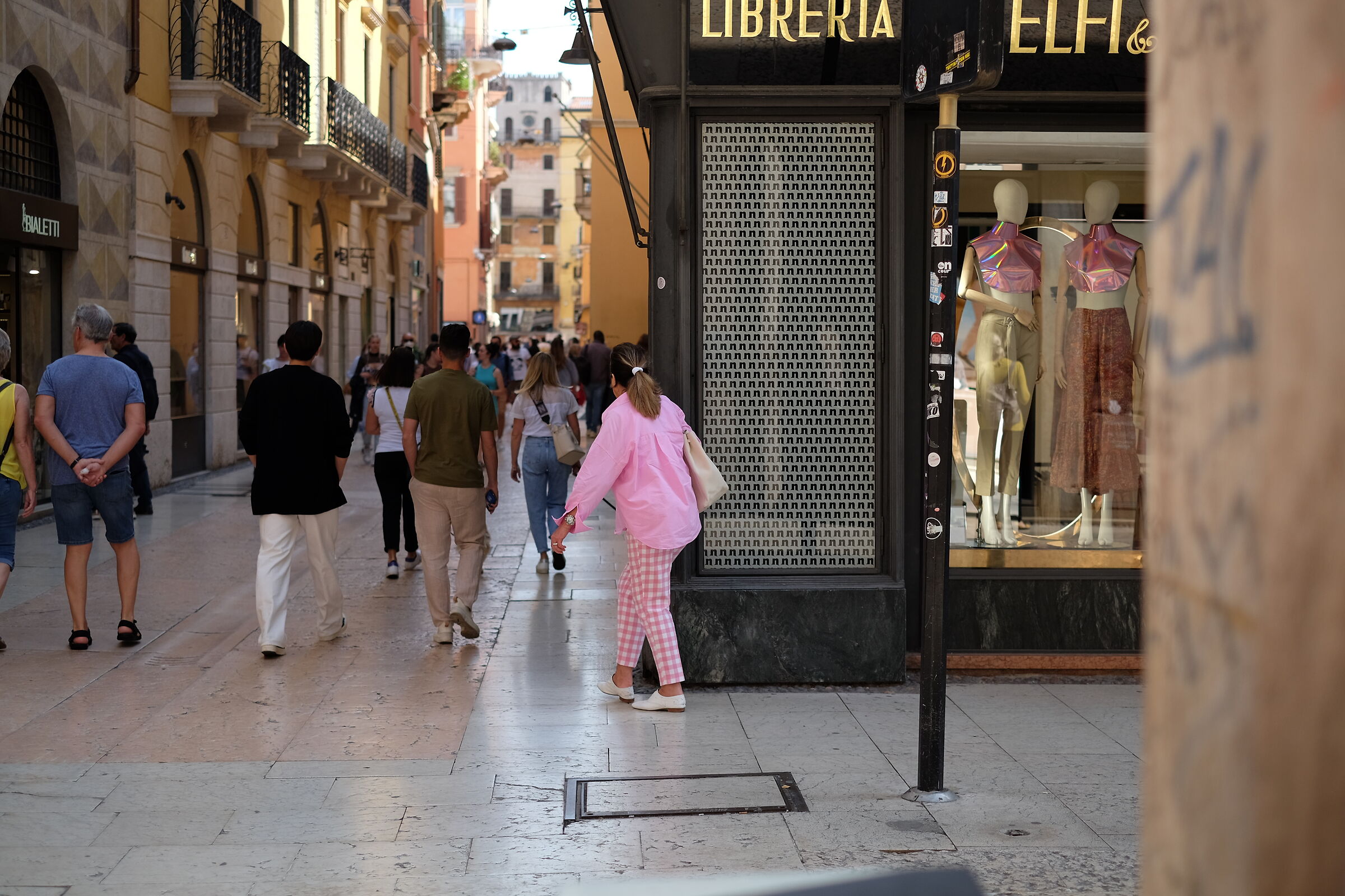 The Pink Lady of Verona