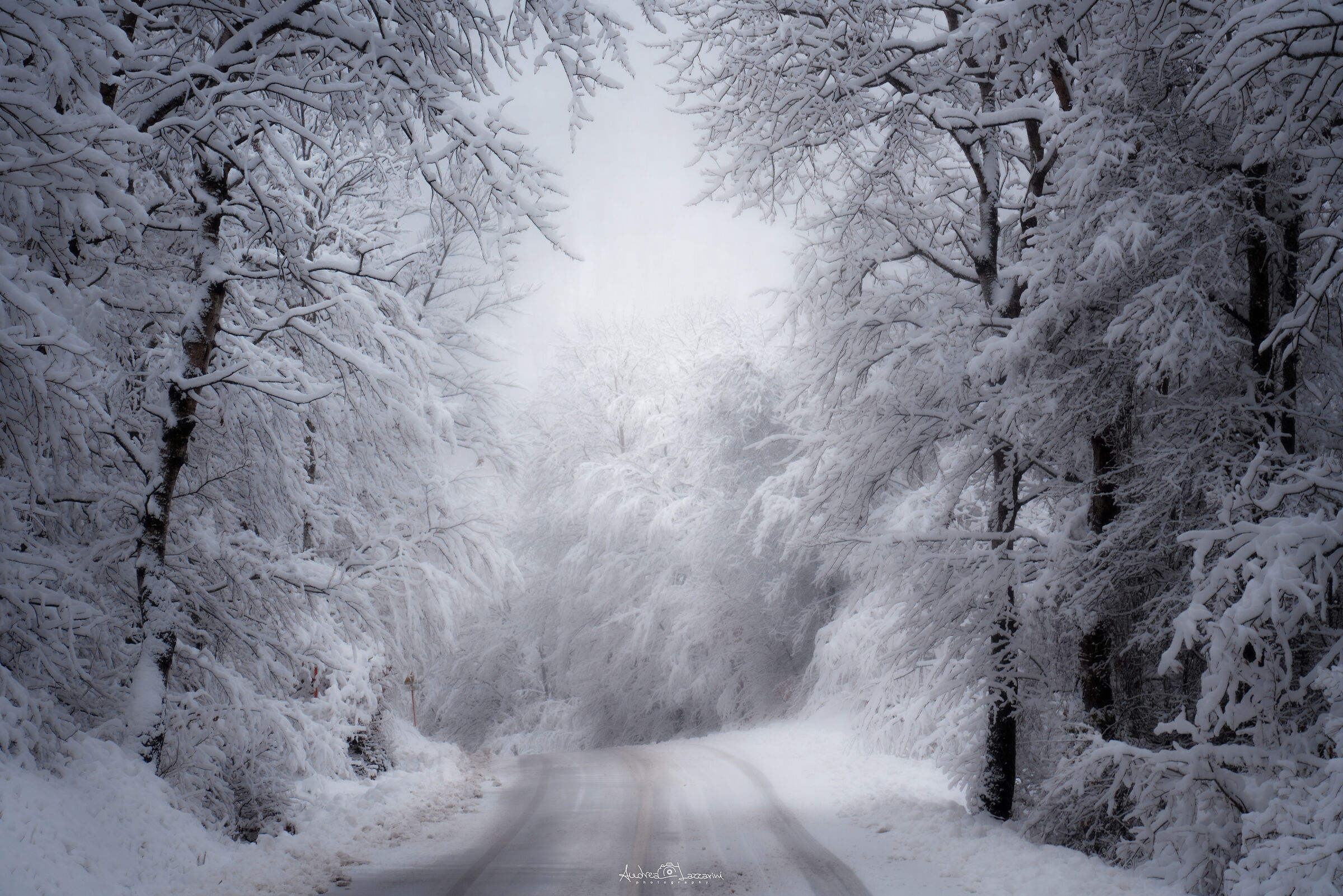 Narnia