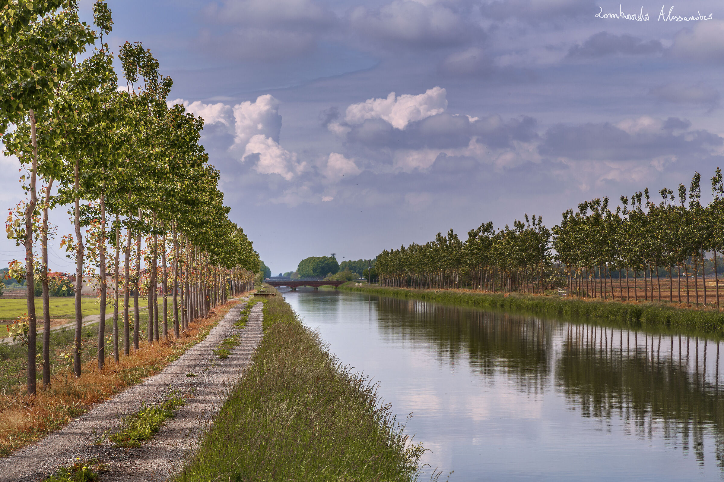 Canale Cavour, Novara