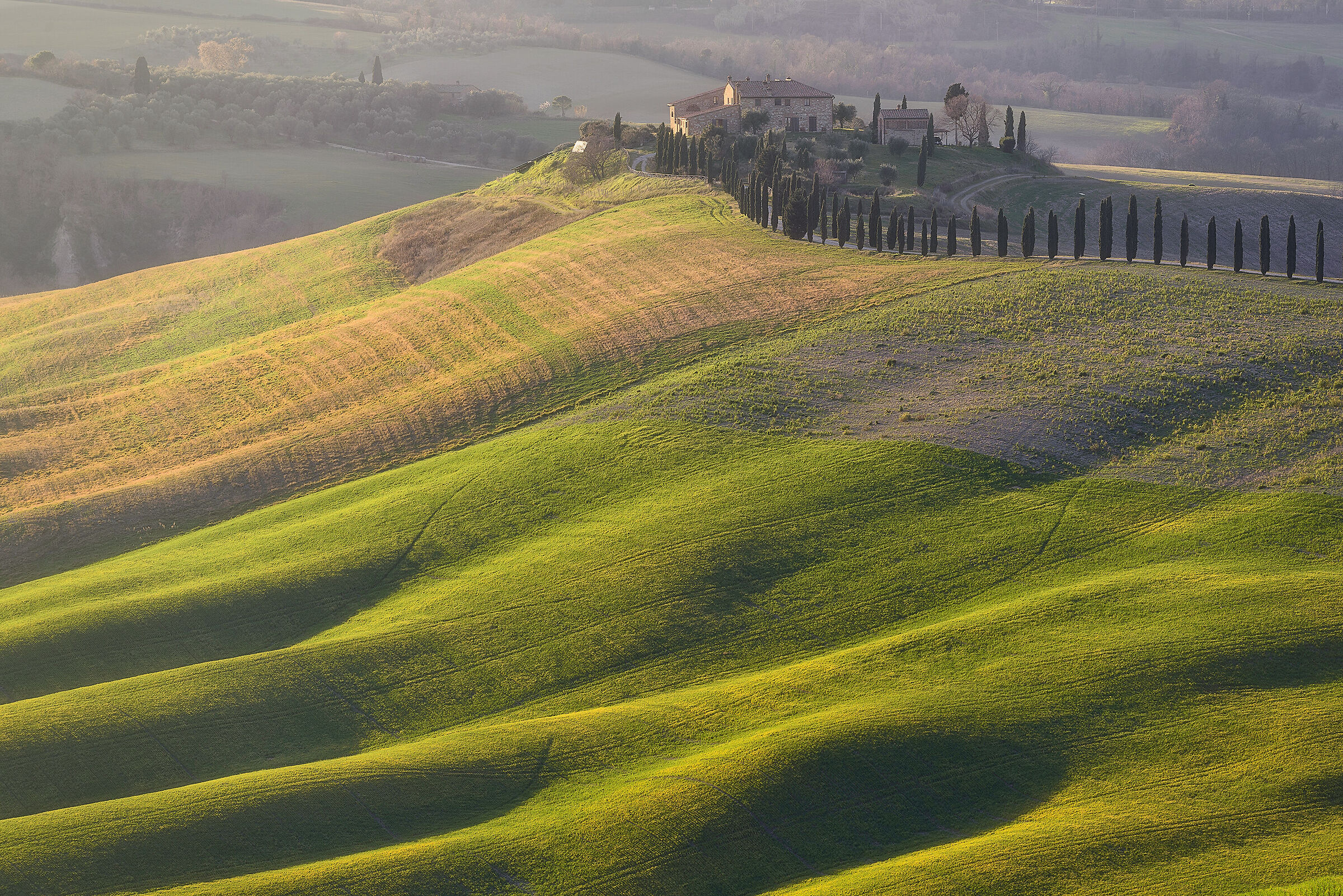 Hills of Vescona