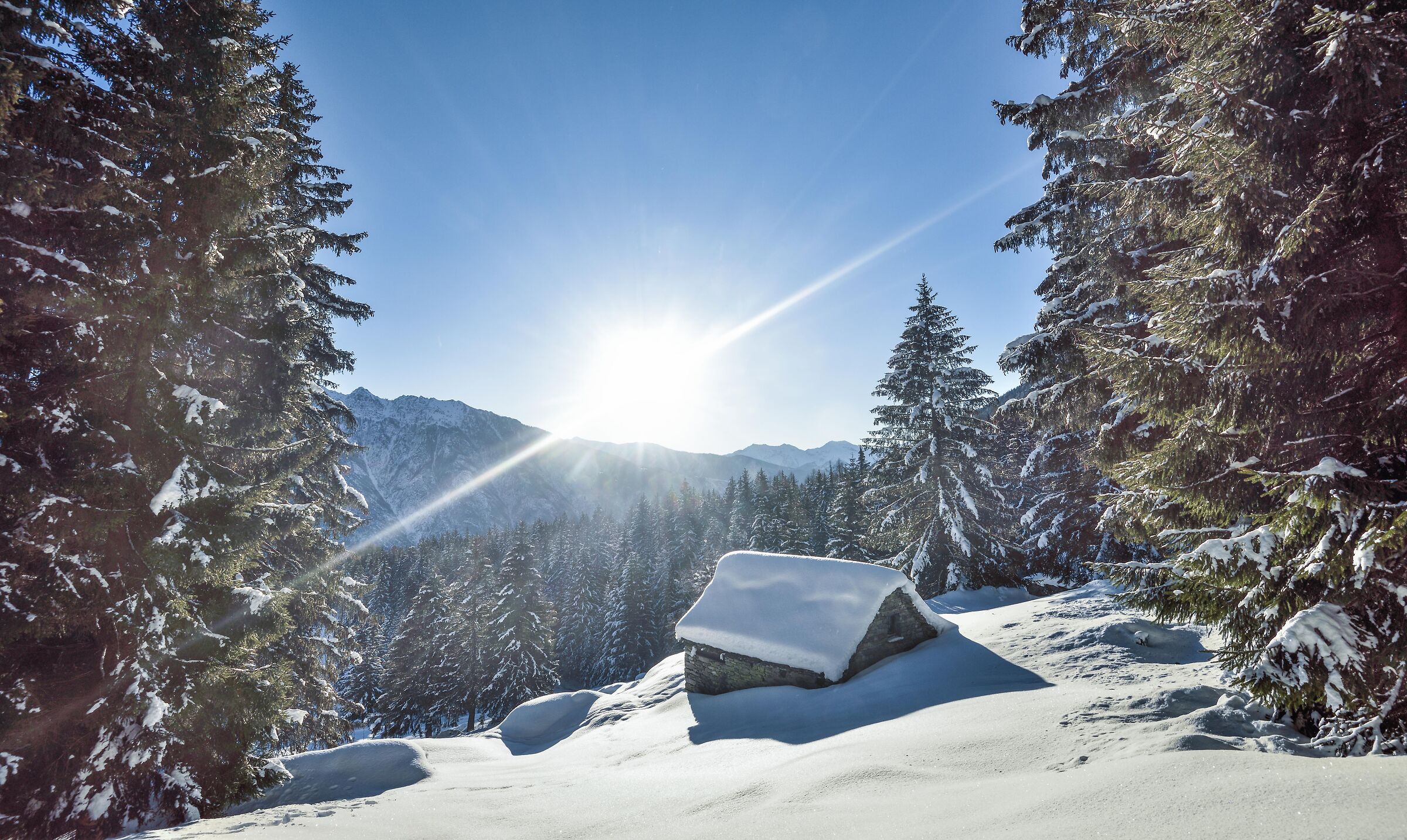 January 2021 snowshoeing Foppiano di Crodo-Alpe Voma-Alp