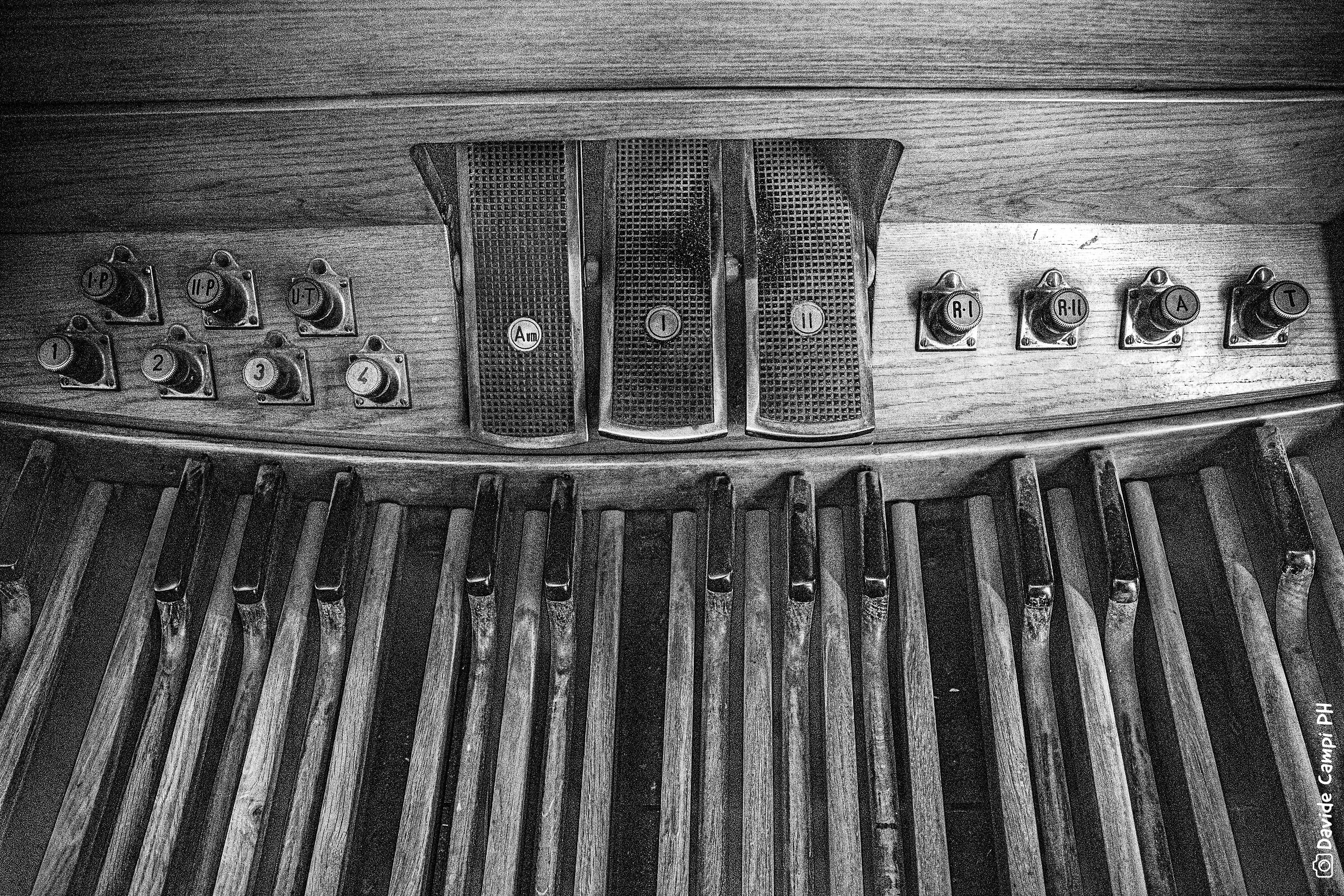 Organo in B&W