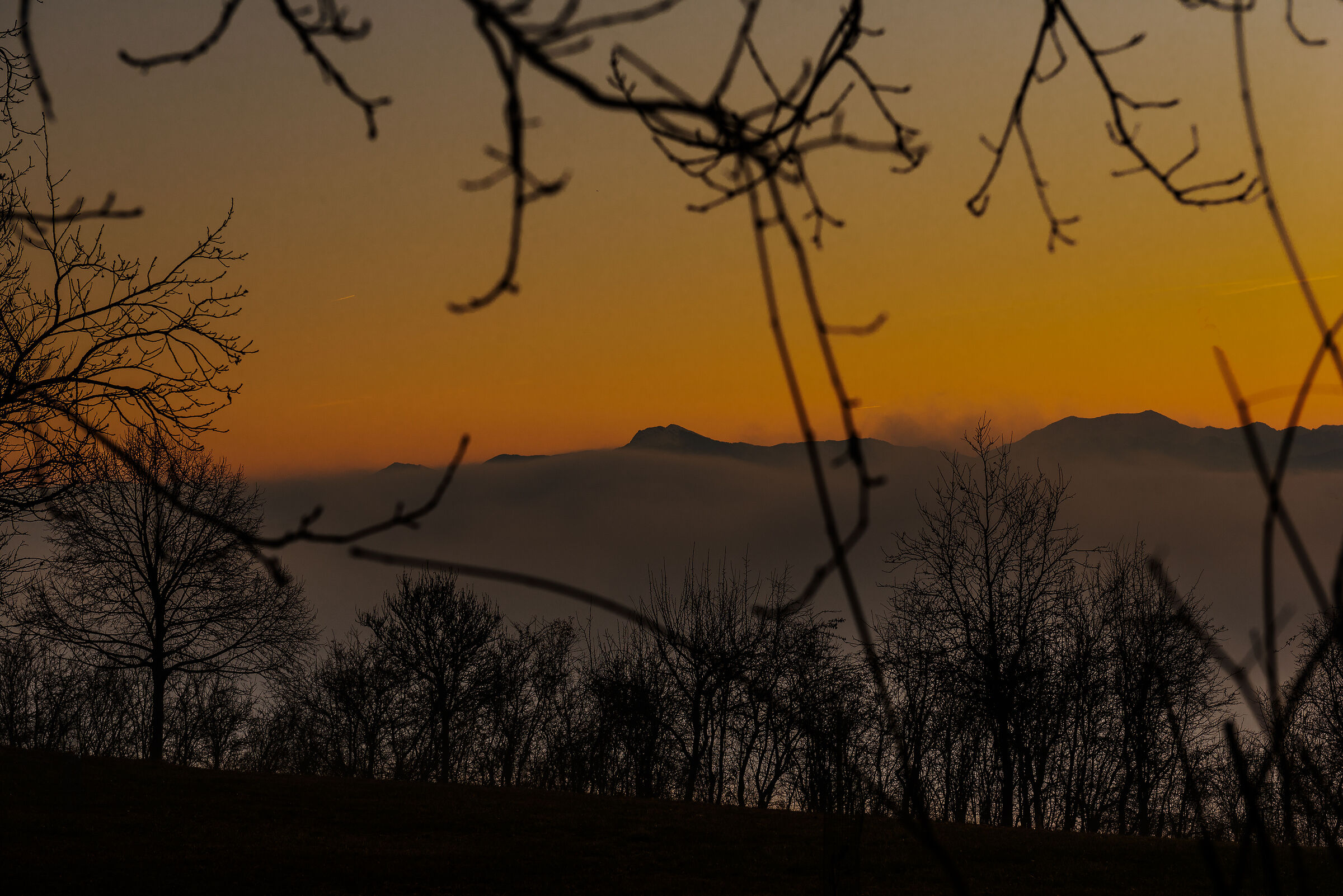 Parma Sunsets