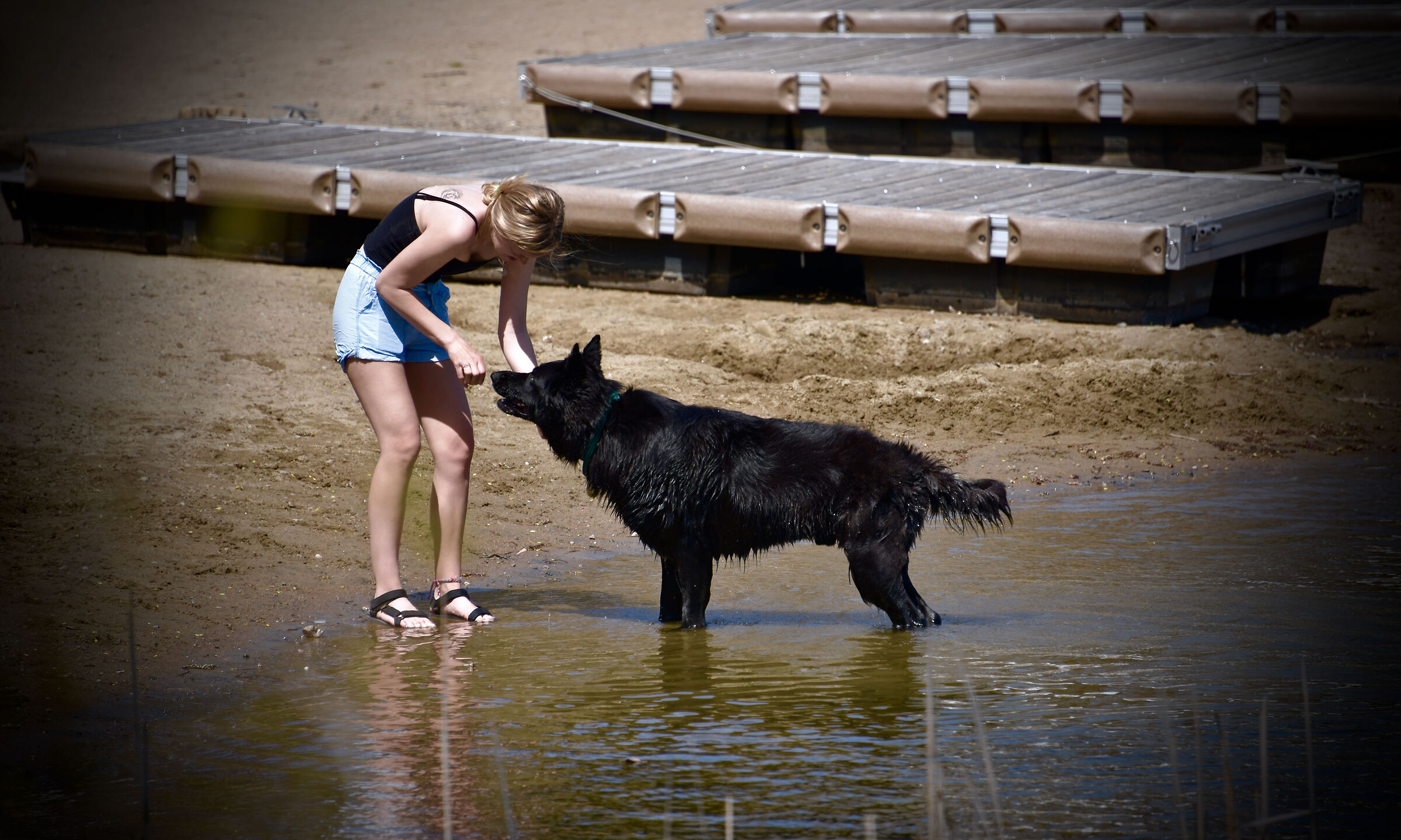 Dressage lesson by his master
