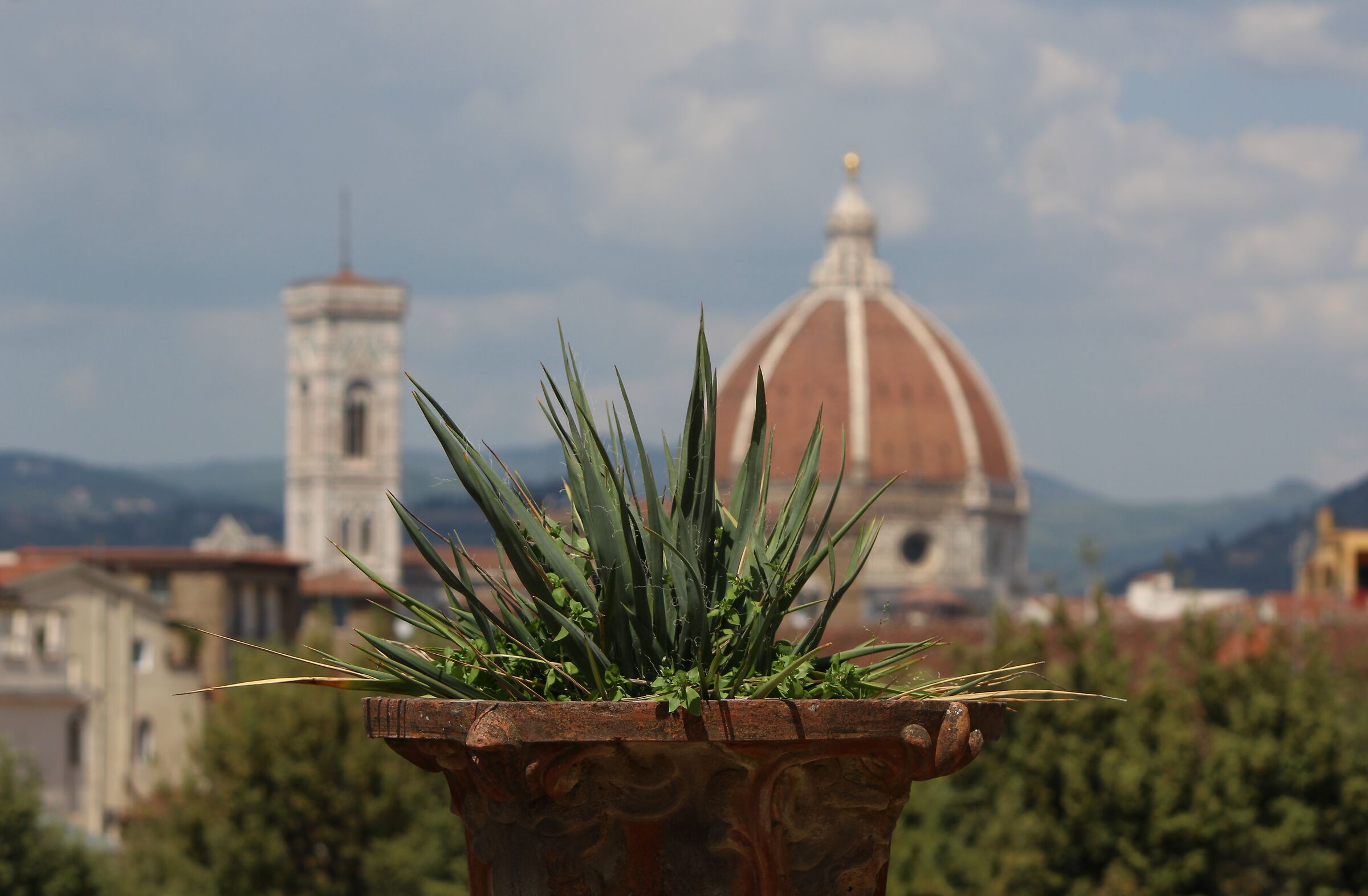 la cupola