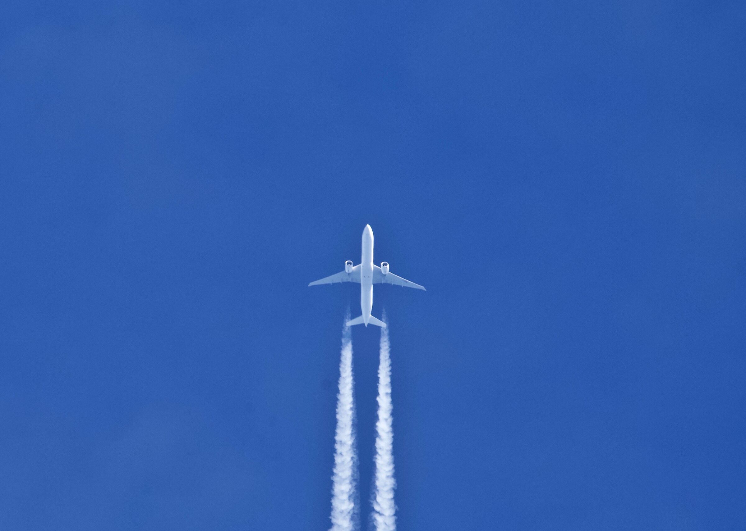 In the blue painted blue.