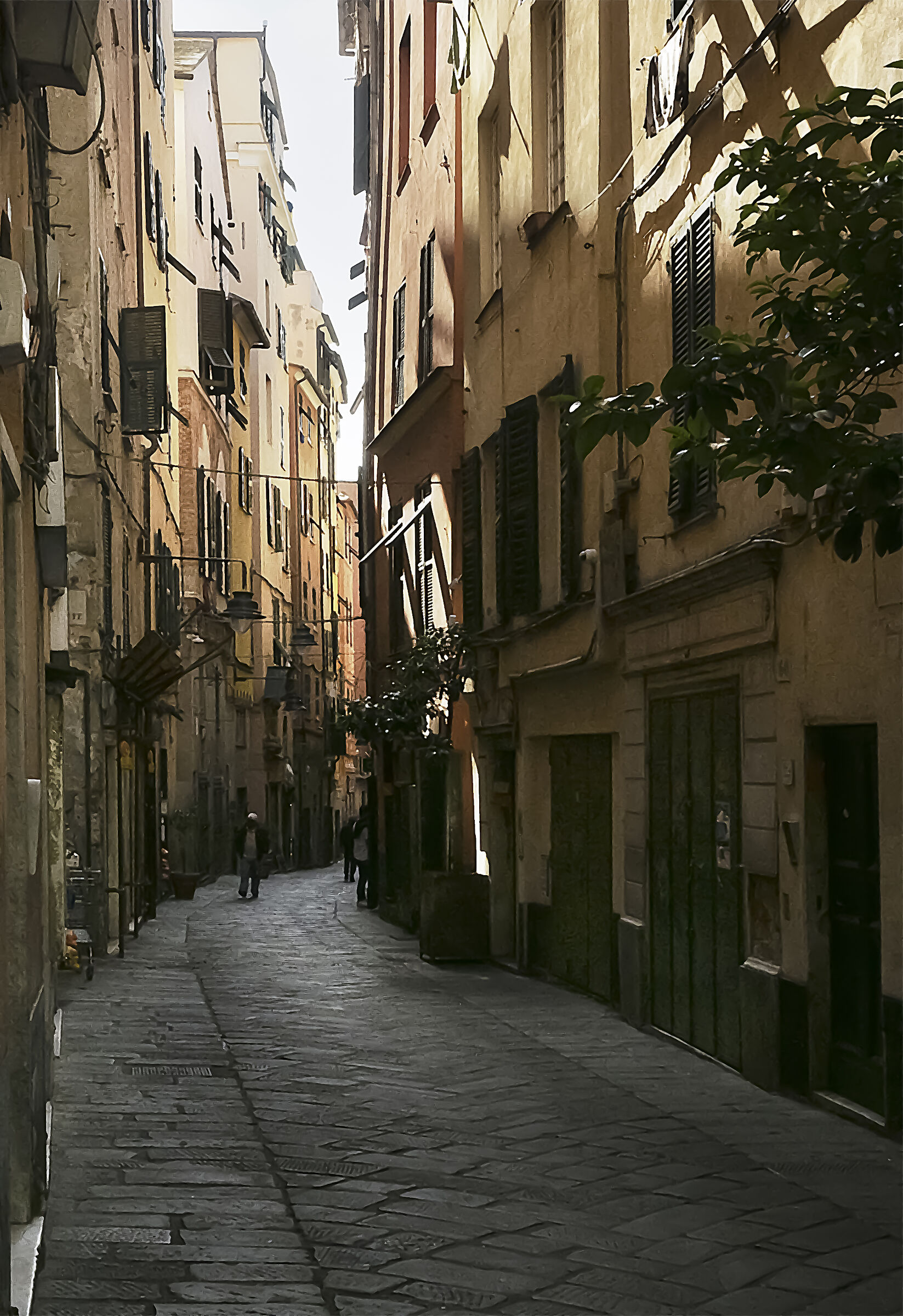 Genoa - Via Pré - Glimpse