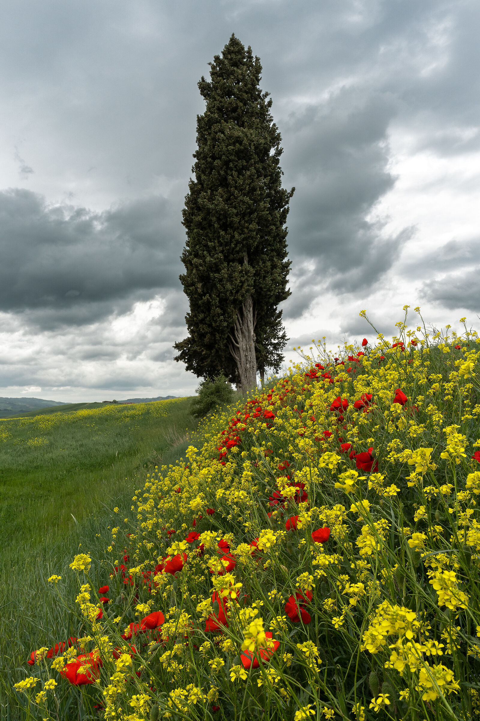 Val d'Orcia (Toscana - Italia)