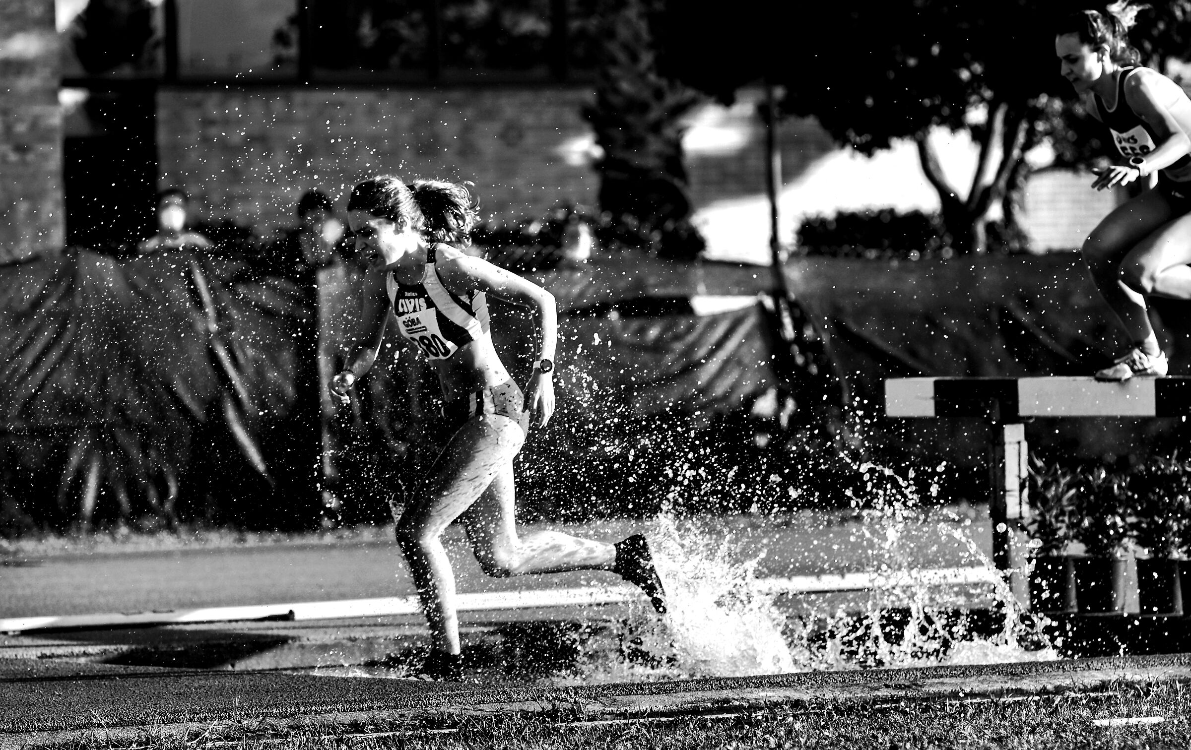 The Riviera of 3000 hedges