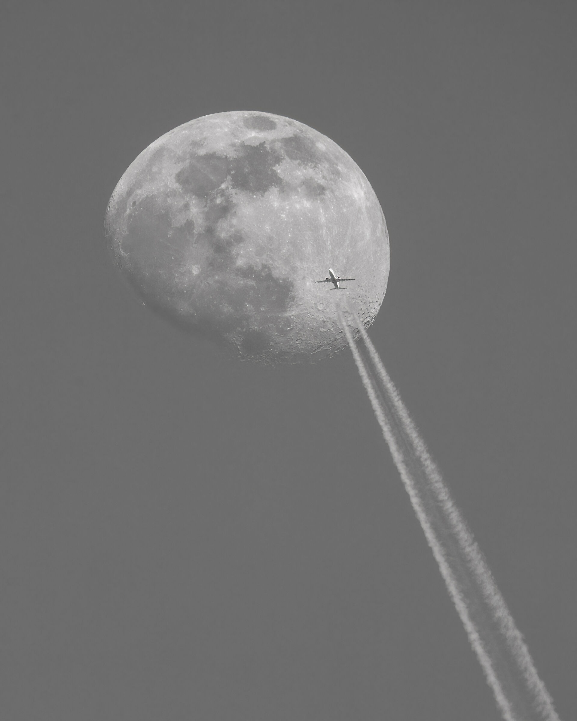 Elemento di disturbo