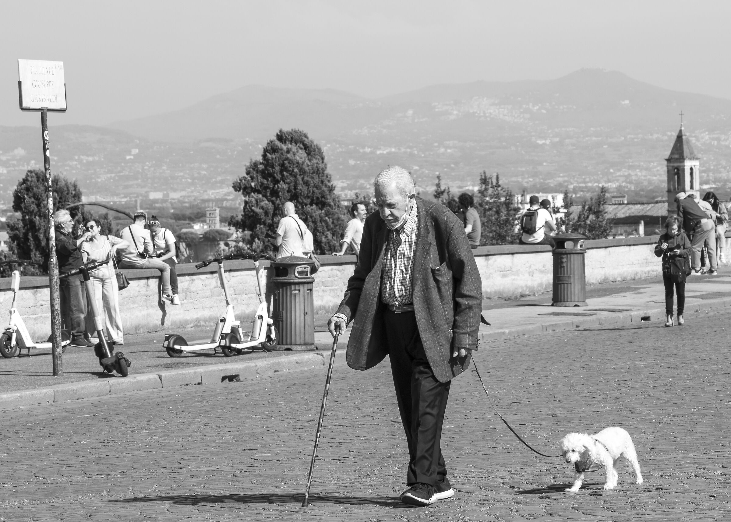 A walk with friend...