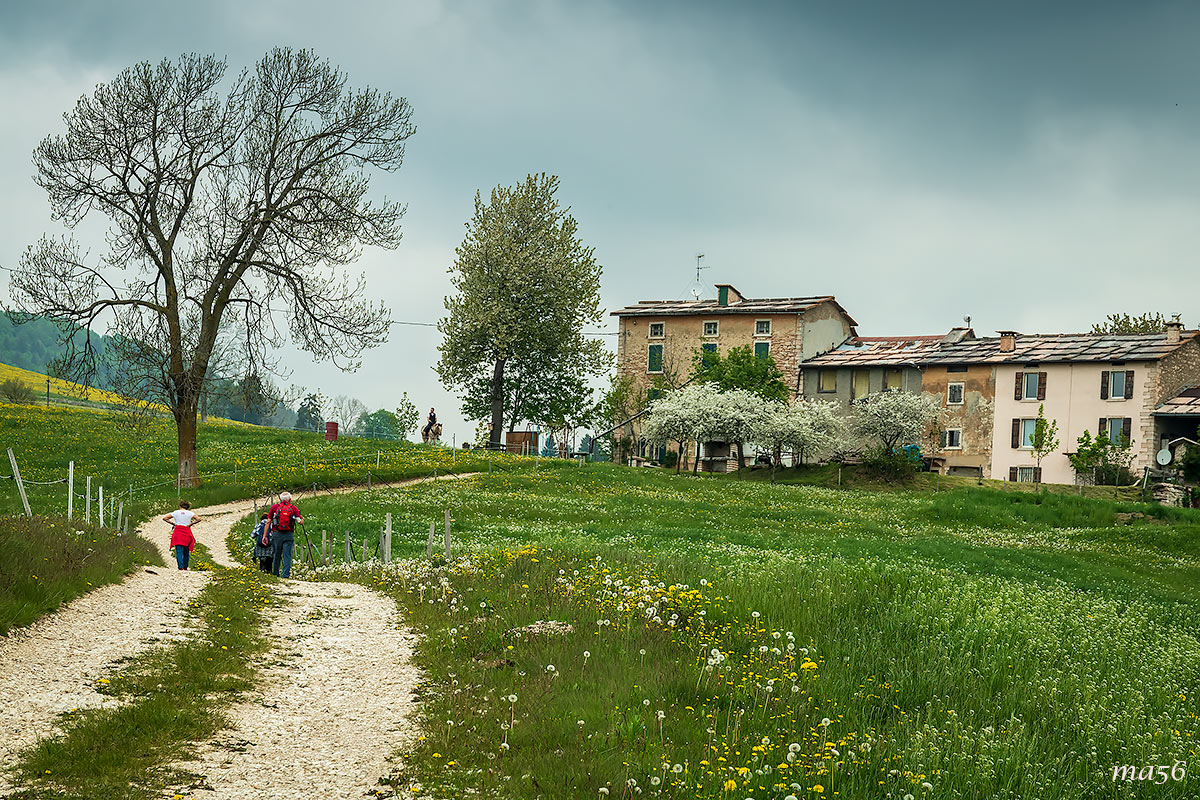 Excursion in Lessinia - Valdiporro (VR)