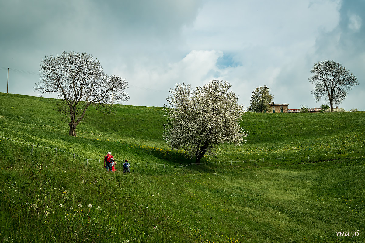 Excursion in Lessinia - Valdiporro (VR)