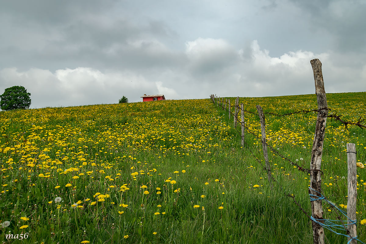 Excursion in Lessinia - Valdiporro (VR)