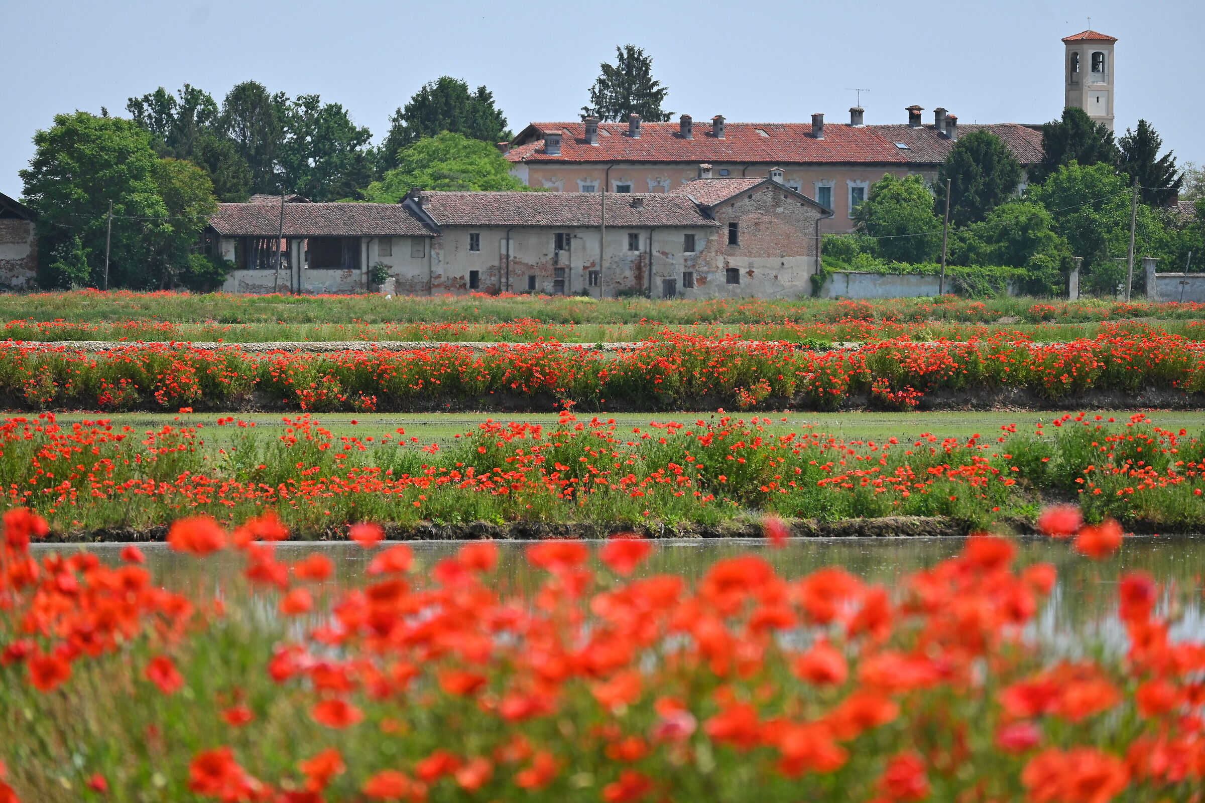 Vigevanese countryside