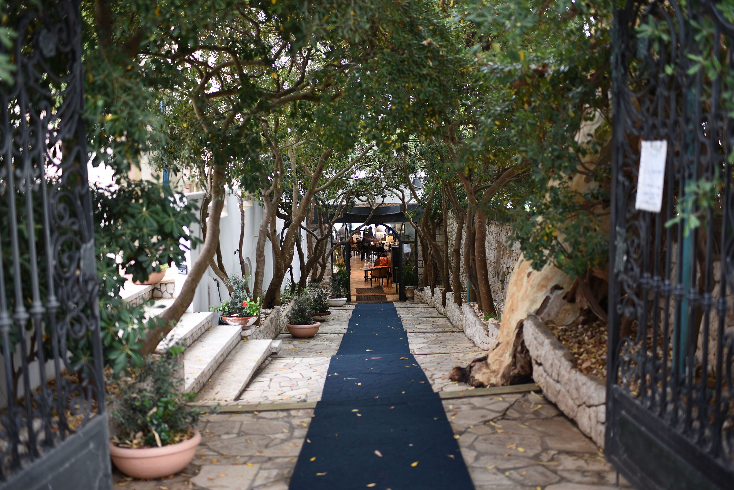 Il Mio Ristorante " Preferito "