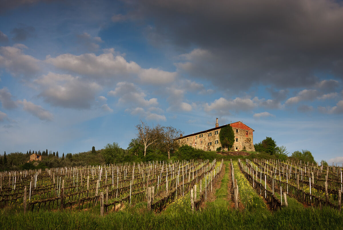 Sul poggio di Camperie ...