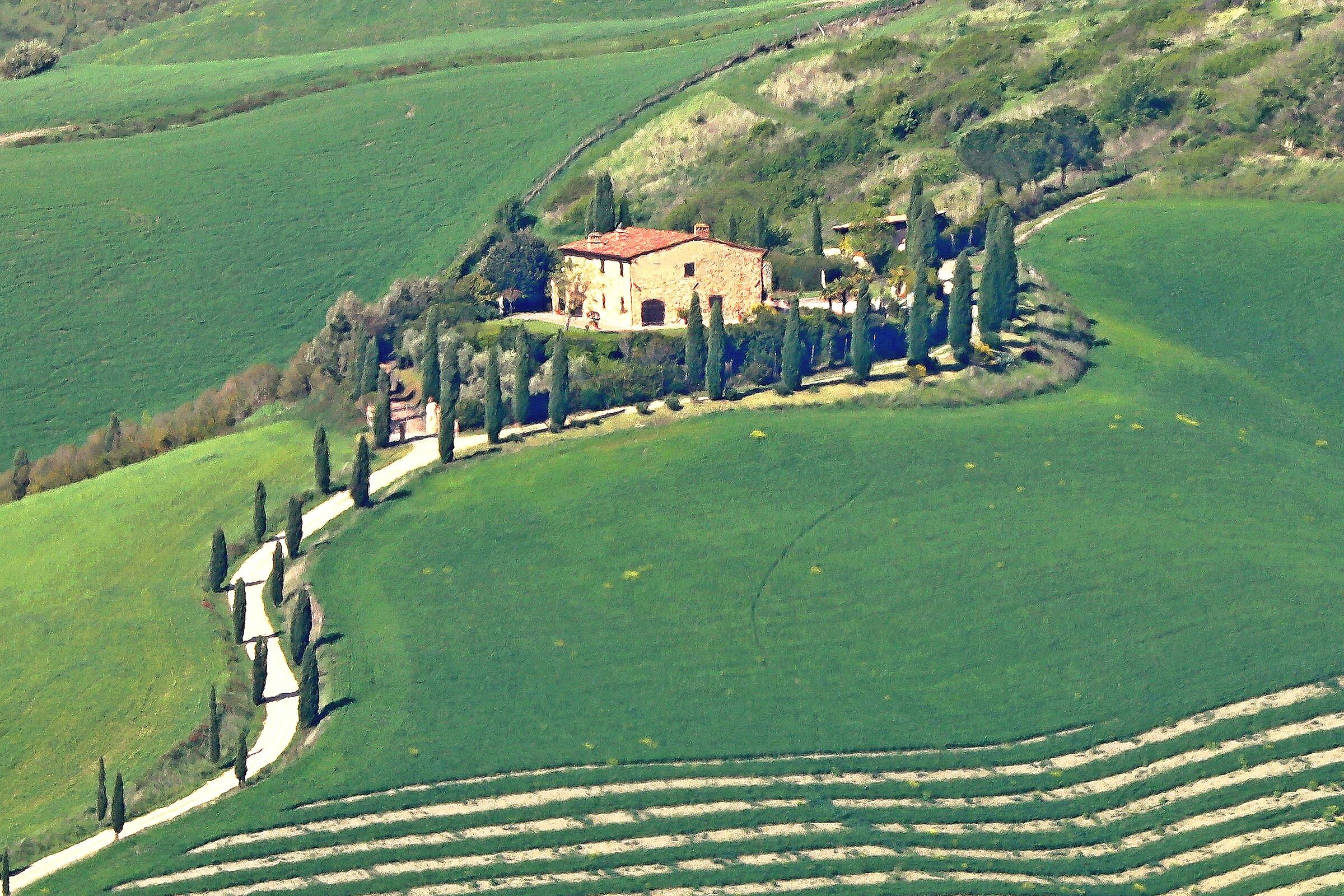 I love the Impressionists