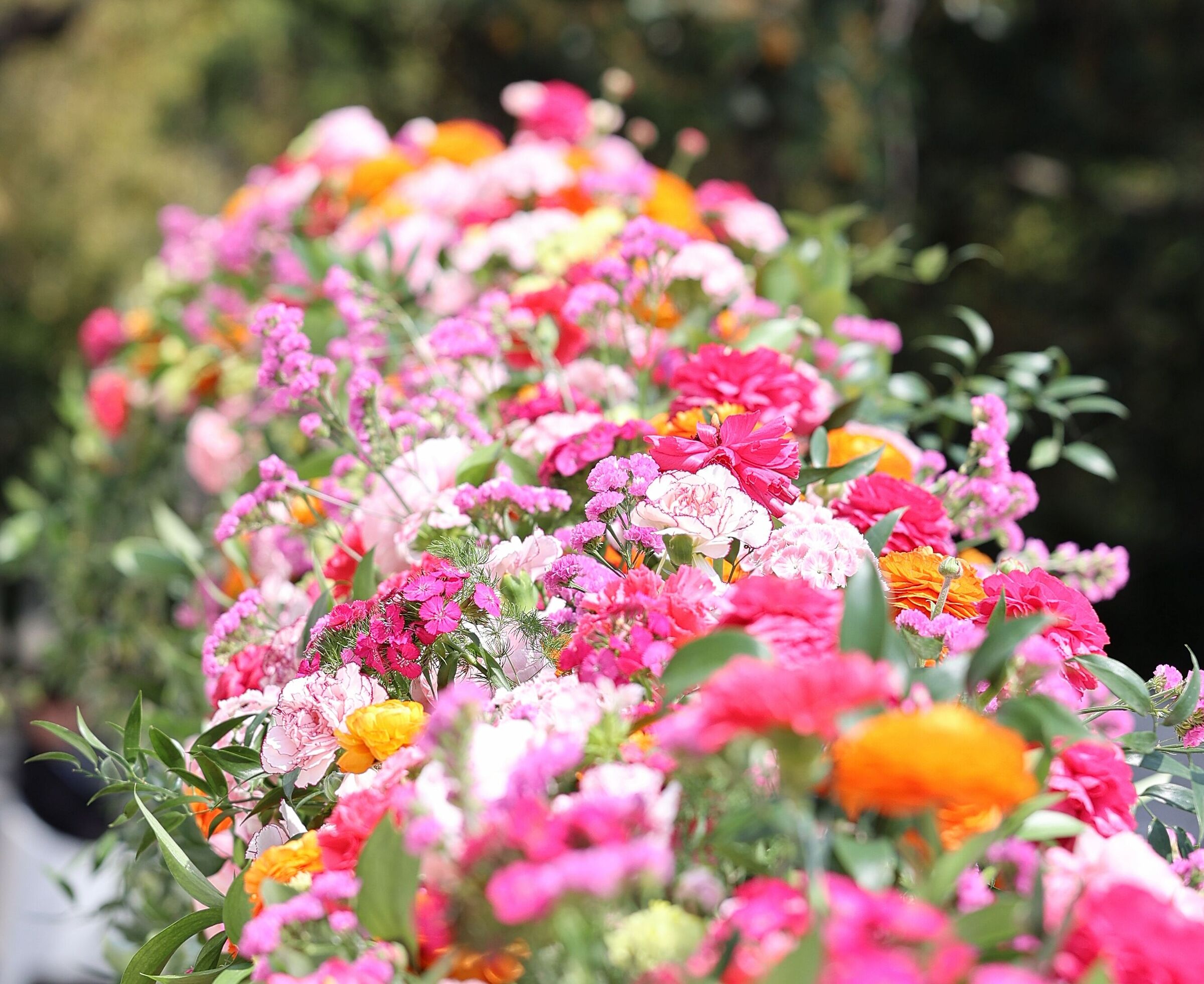 Esplosione di colori