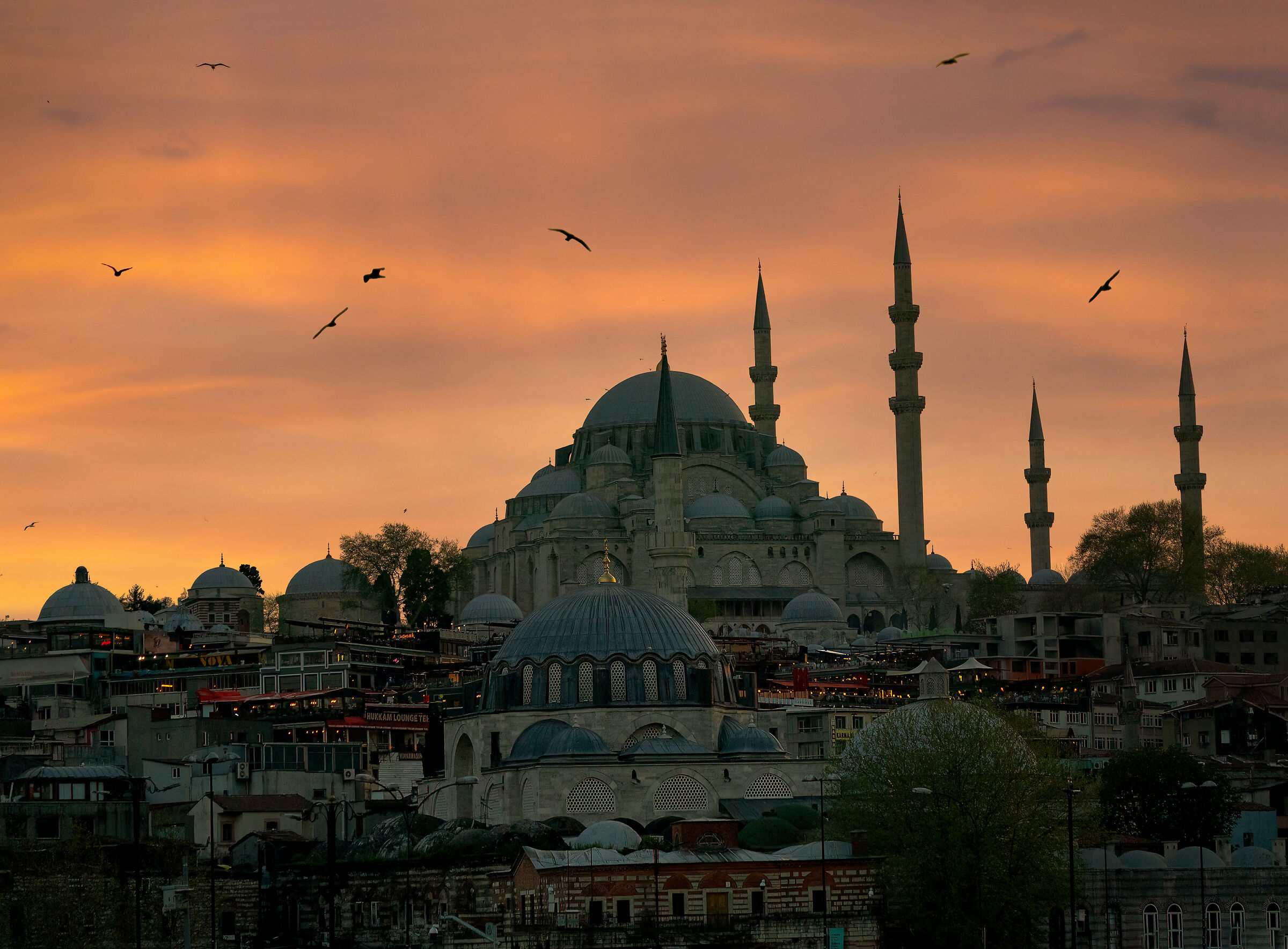 Blue Mosque