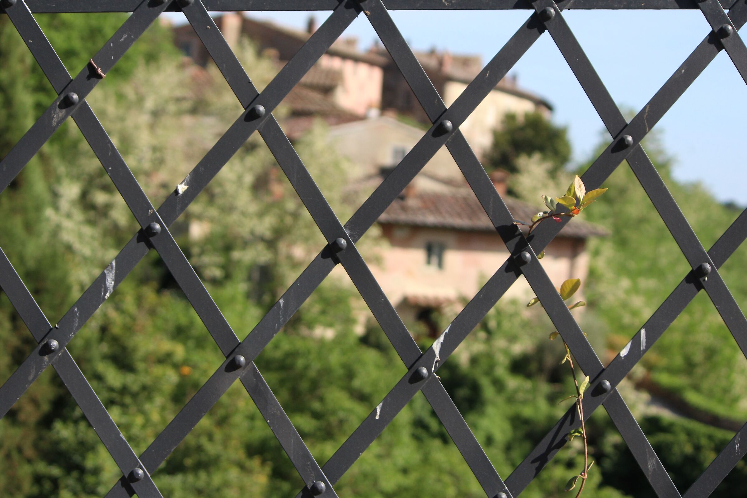 il borro dietro un cancellata