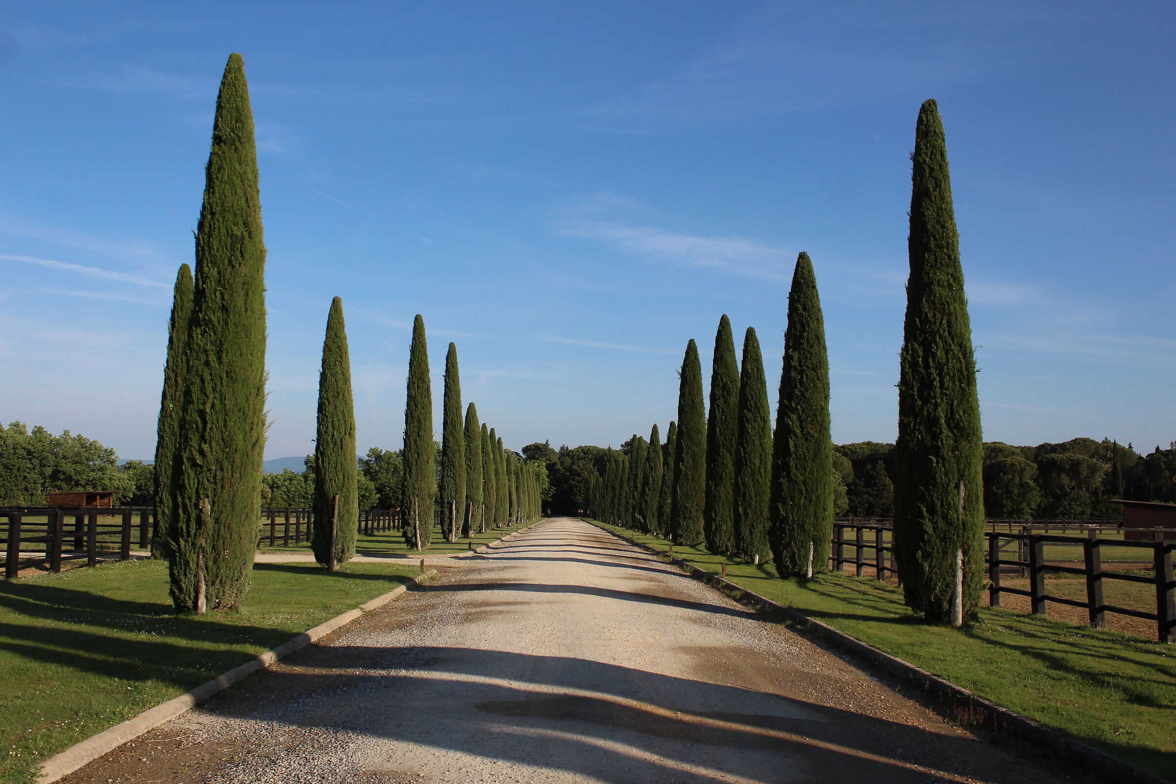 il vialetto d'ingresso