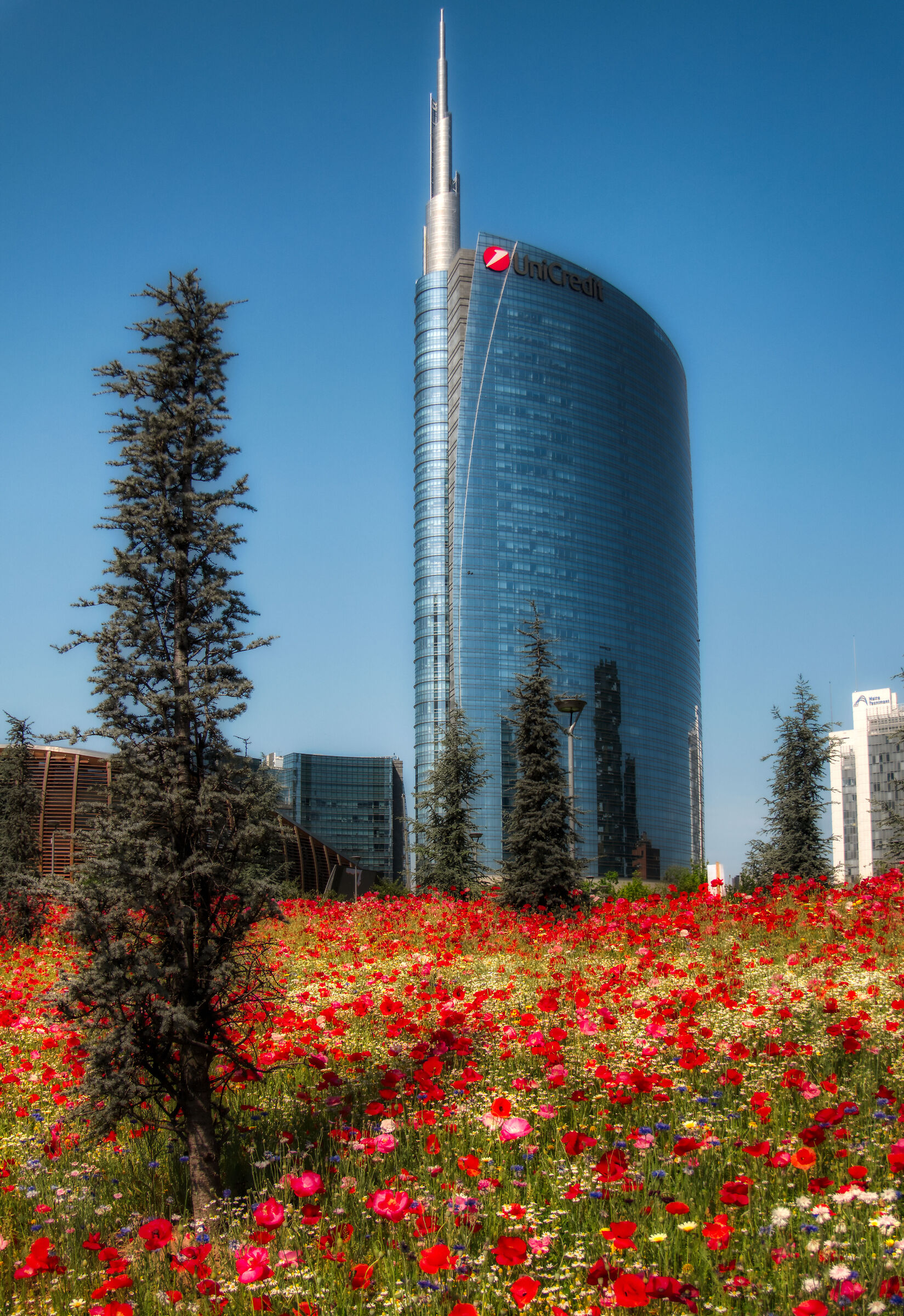 Milan, library of trees